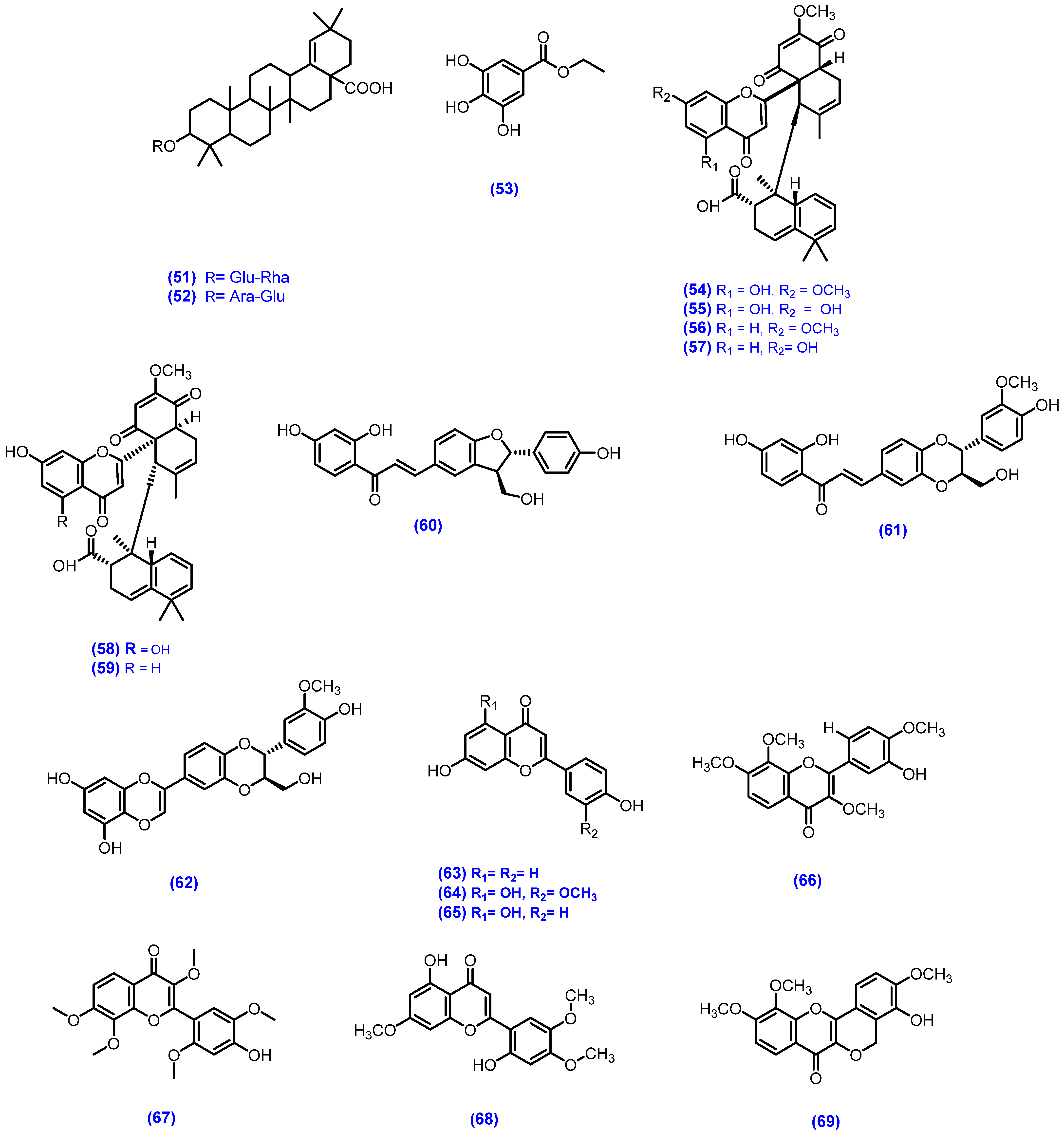 Biomolecules 12 00083 g001c