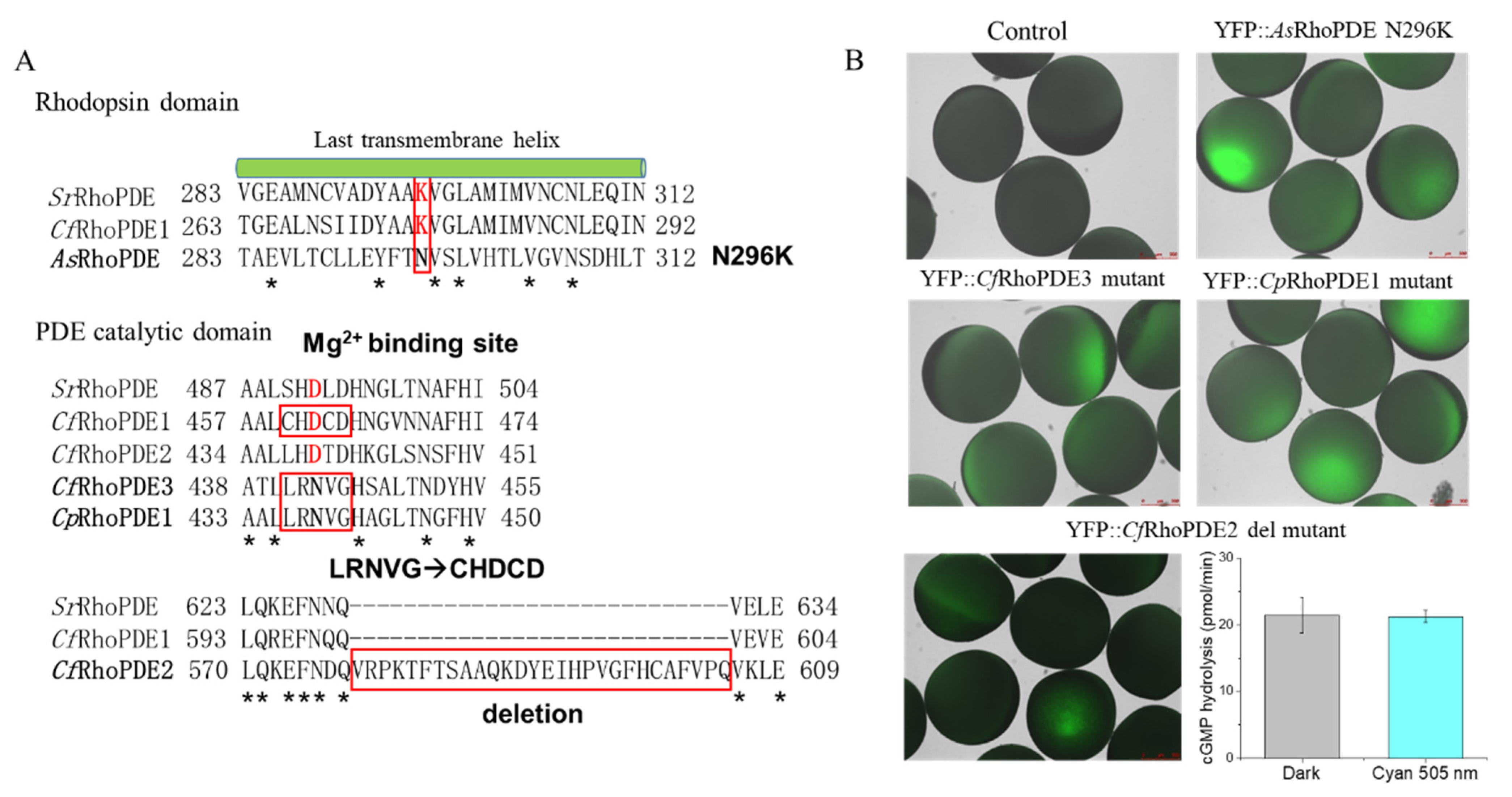 Biomolecules 12 00088 g005