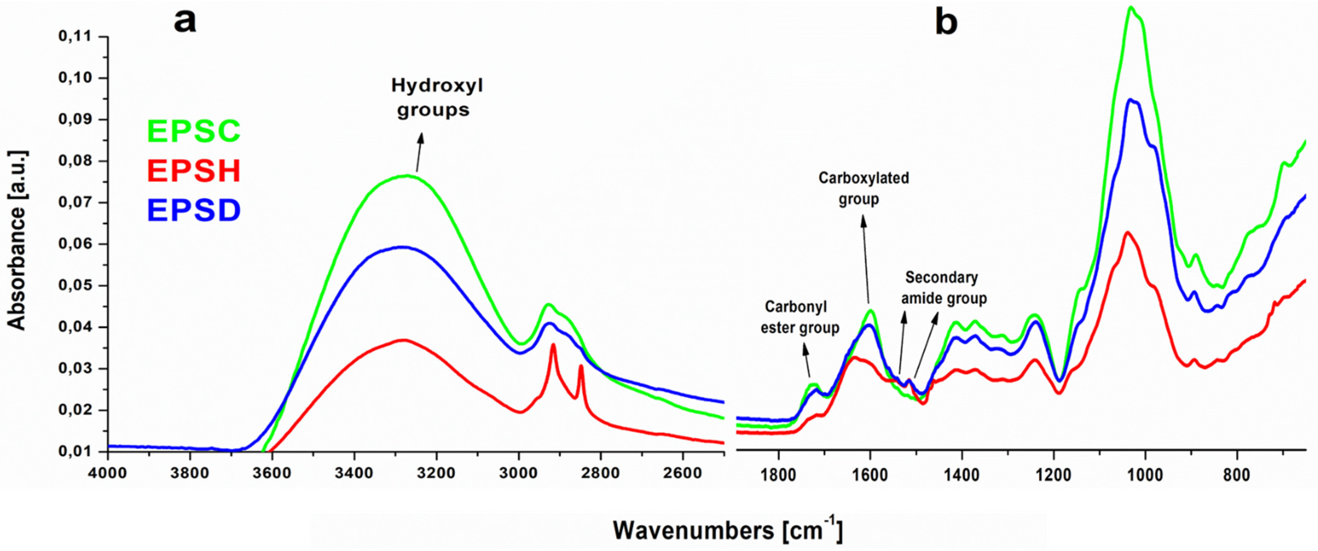 Biomolecules 12 00089 g003