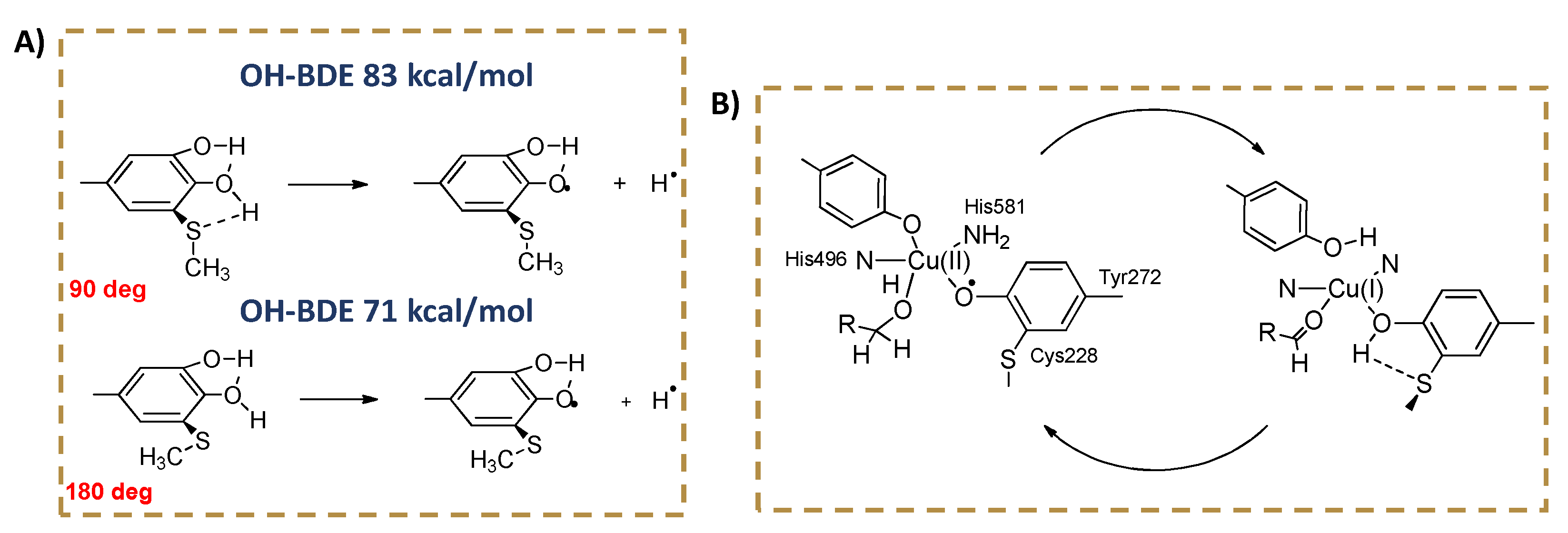 Biomolecules 12 00090 g001
