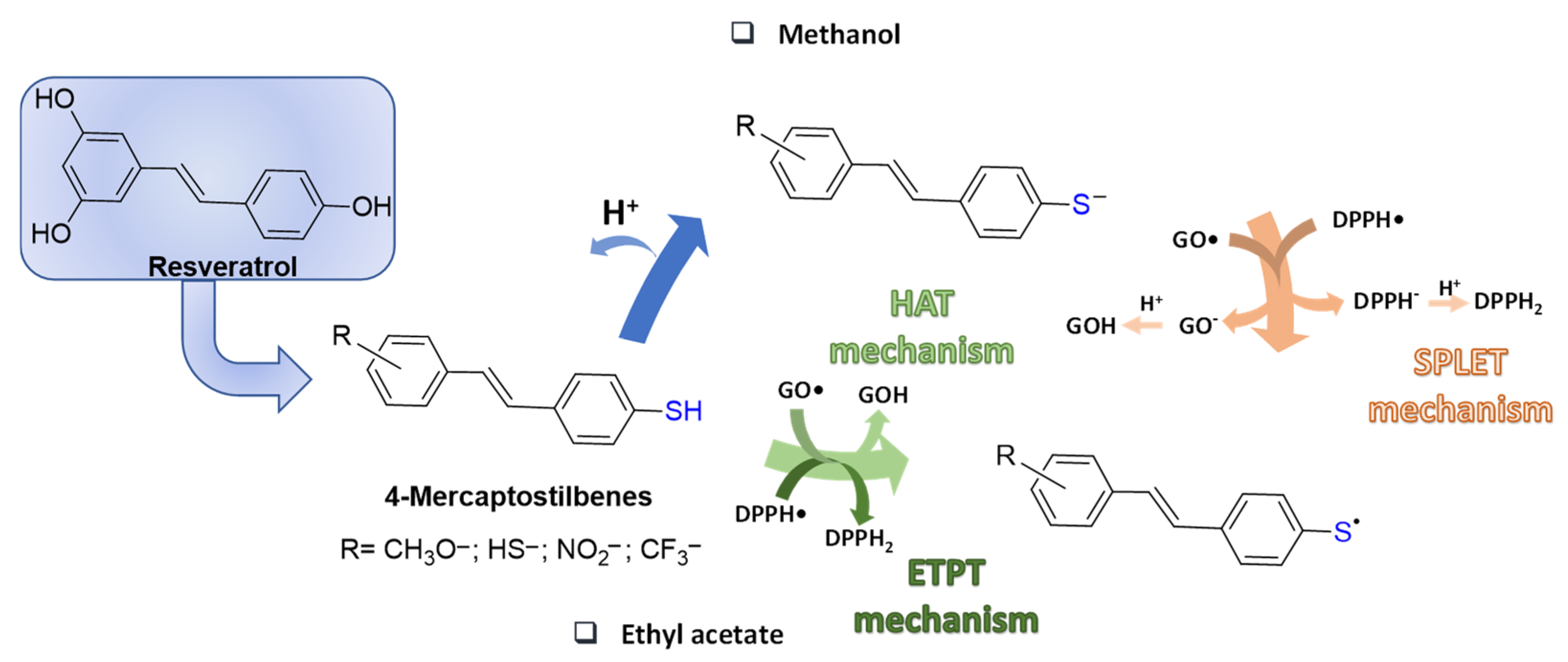 Biomolecules 12 00090 g002