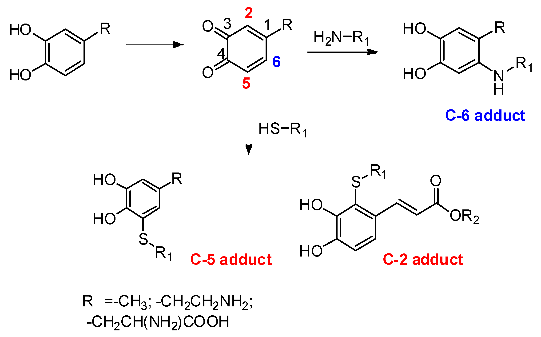 Biomolecules 12 00090 sch007