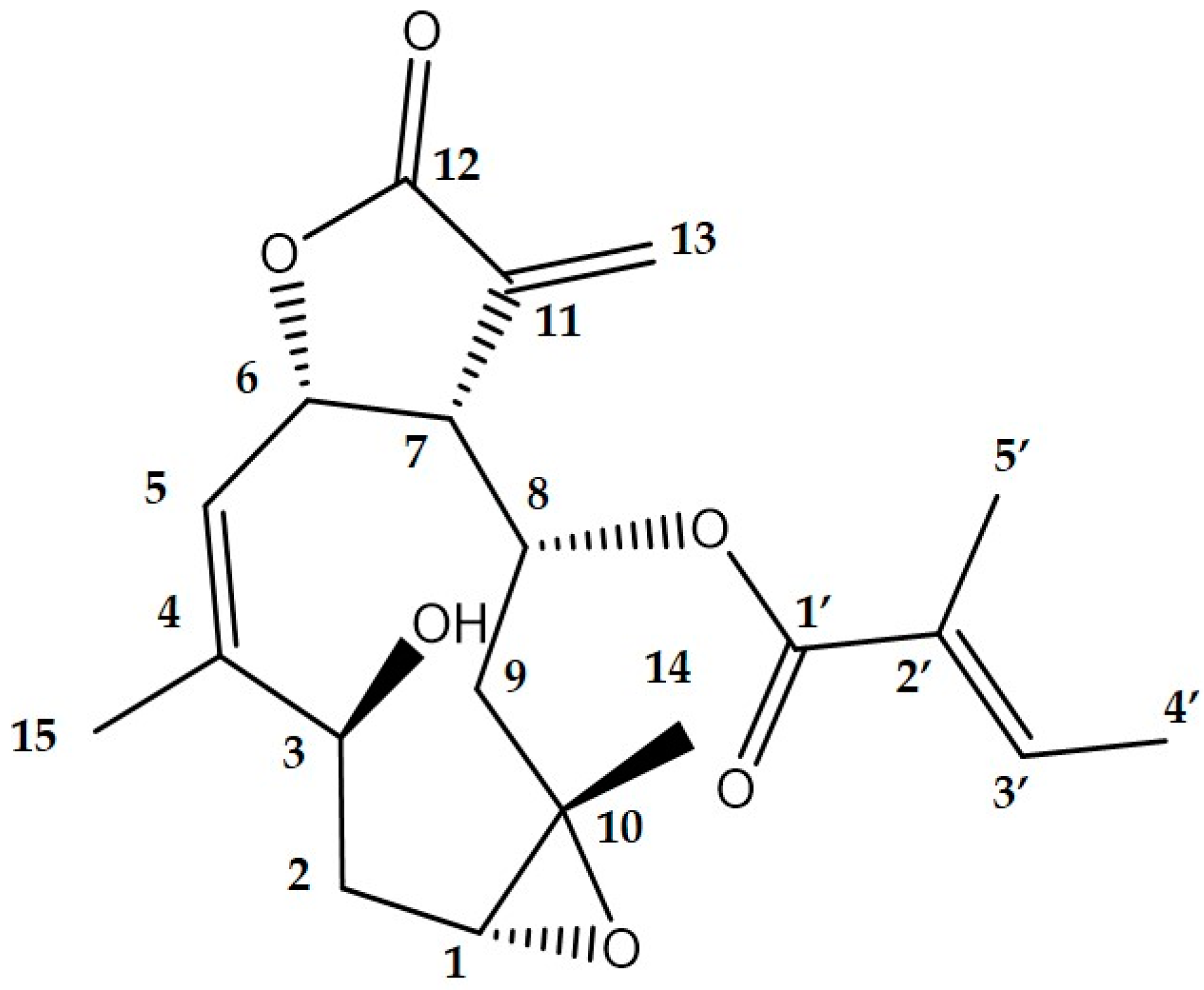 Biomolecules 12 00091 g001 Biomolecules 12 00091 g001