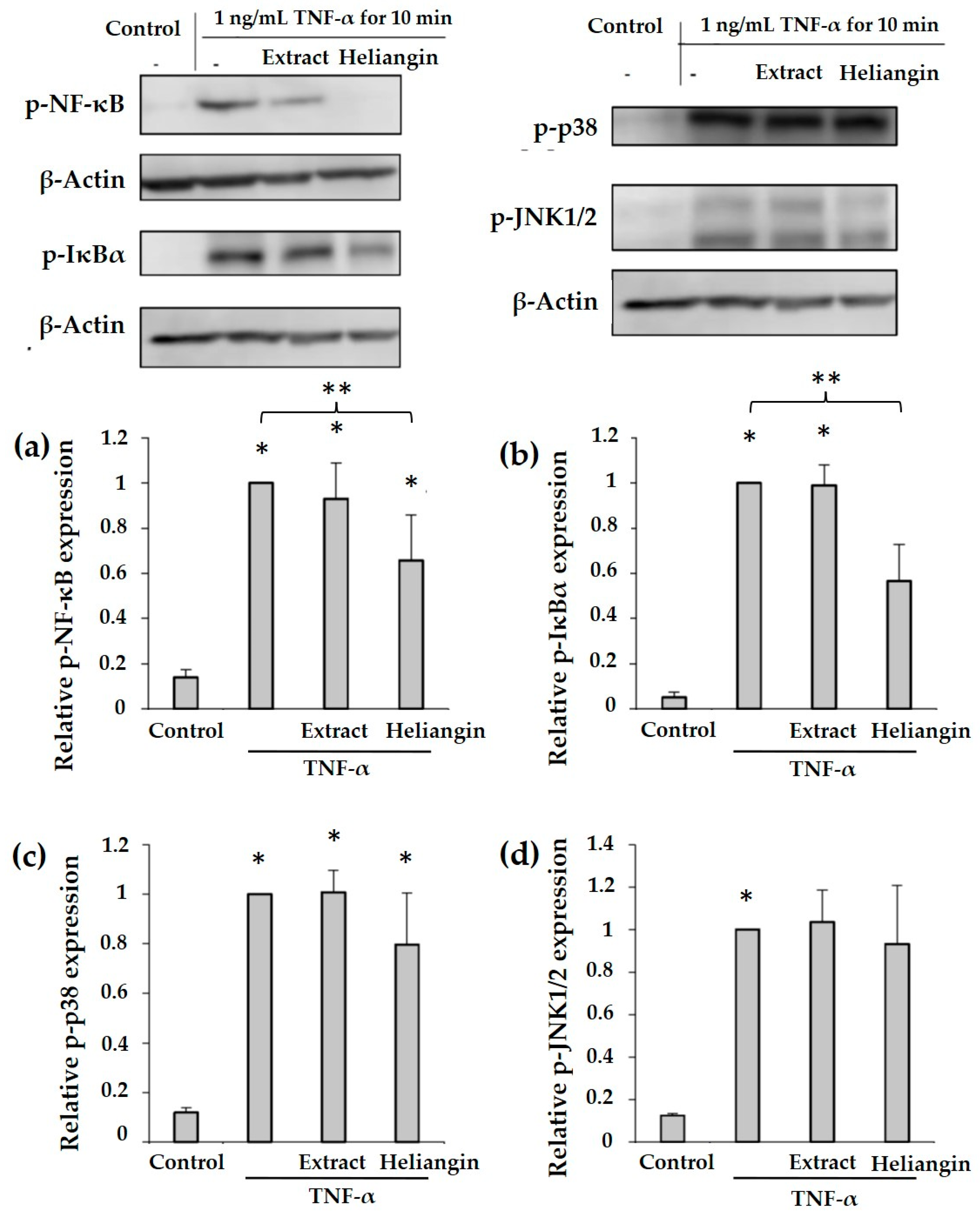 Biomolecules 12 00091 g004 Biomolecules 12 00091 g004
