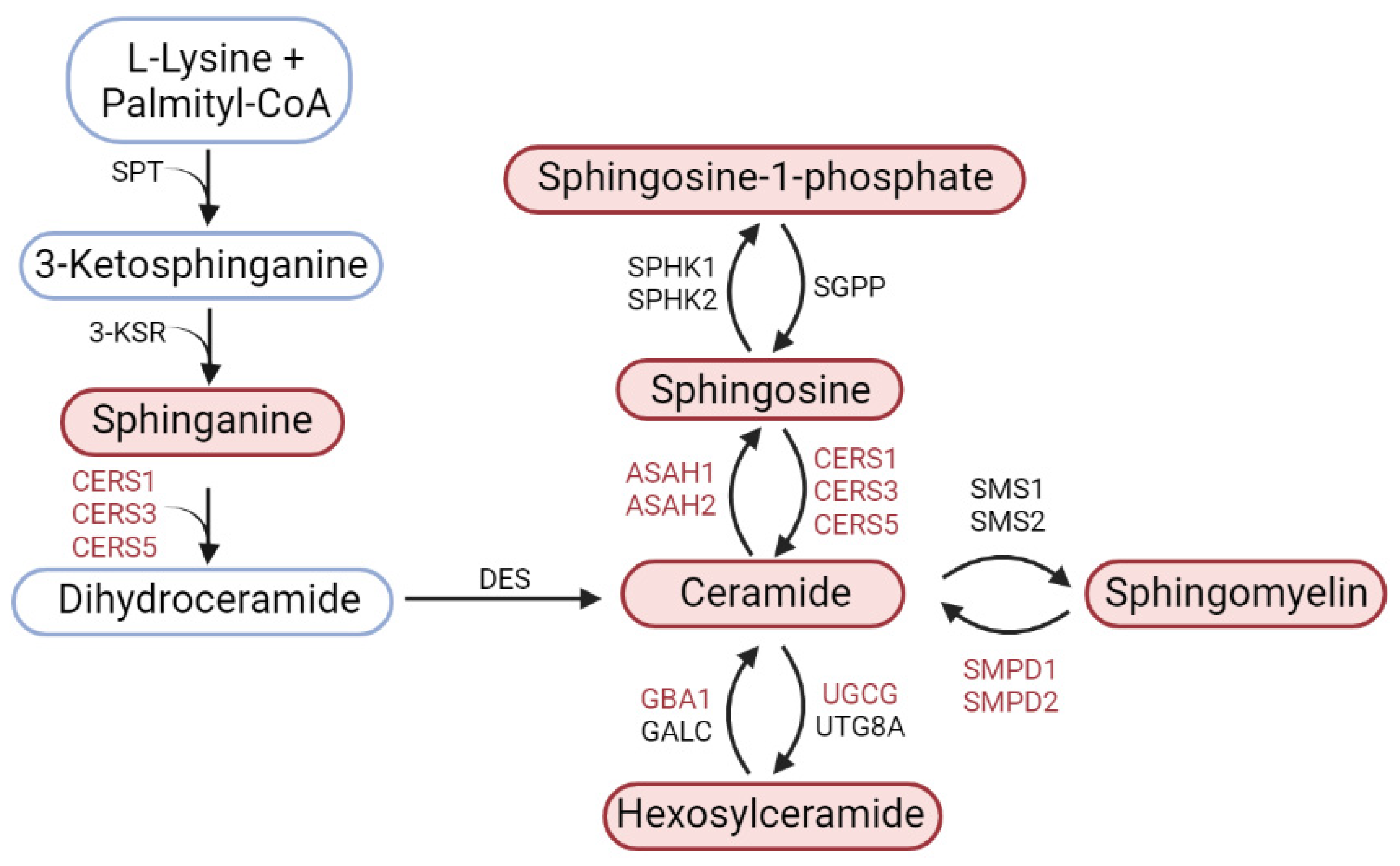 Biomolecules 12 00093 g009 550