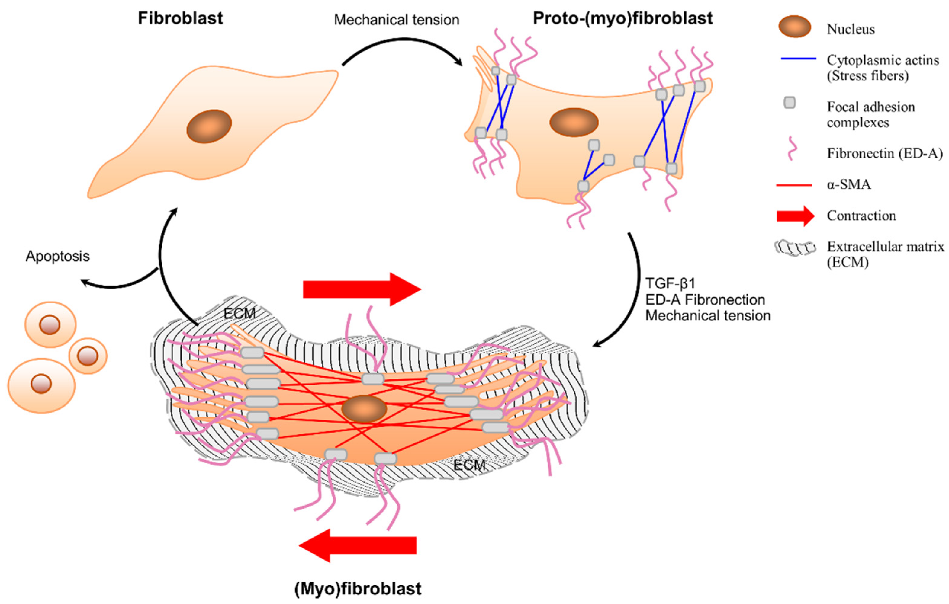 Biomolecules 12 00094 g003