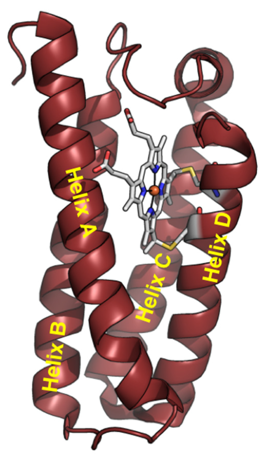 Biomolecules 12 00095 g001