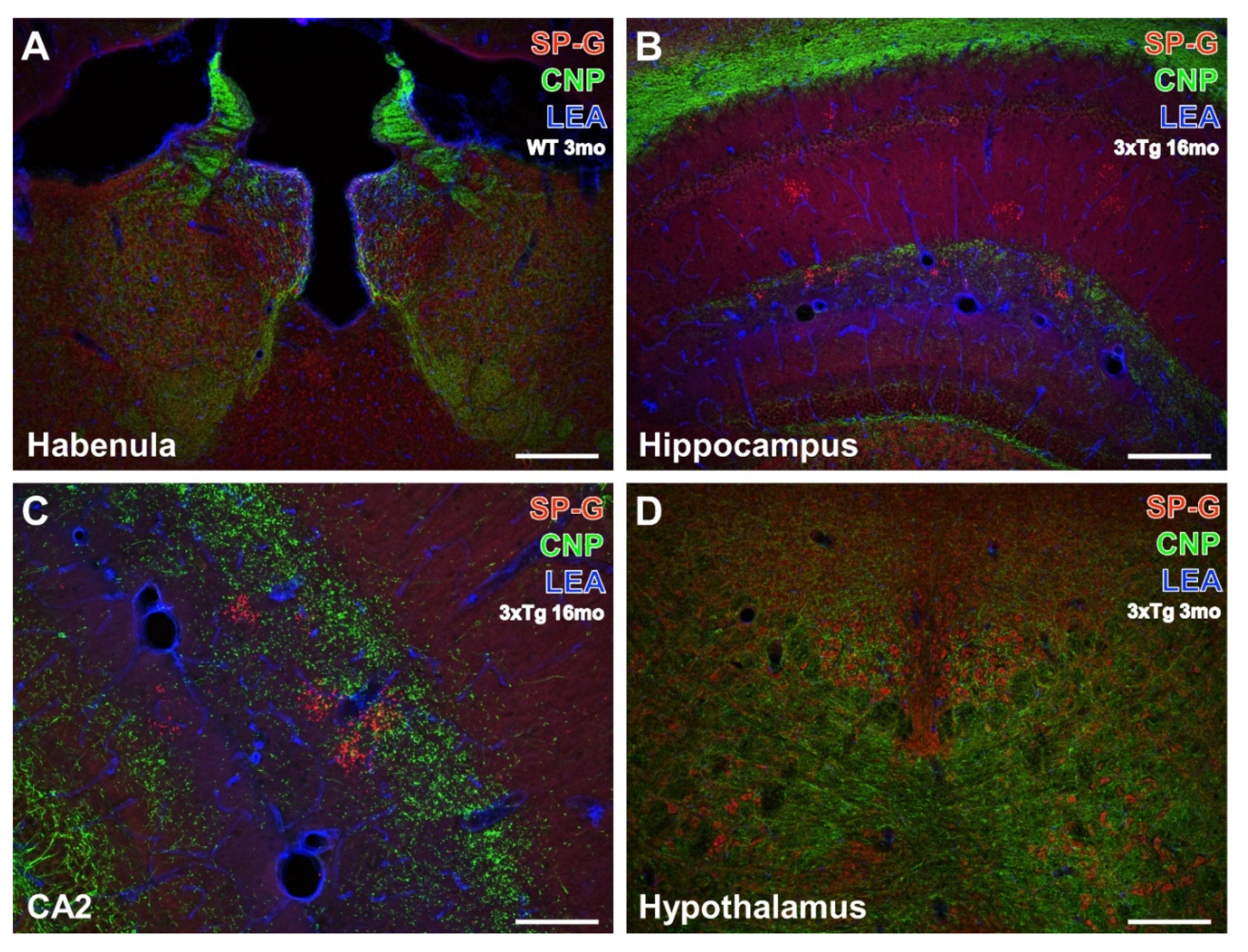 Biomolecules 12 00096 g004