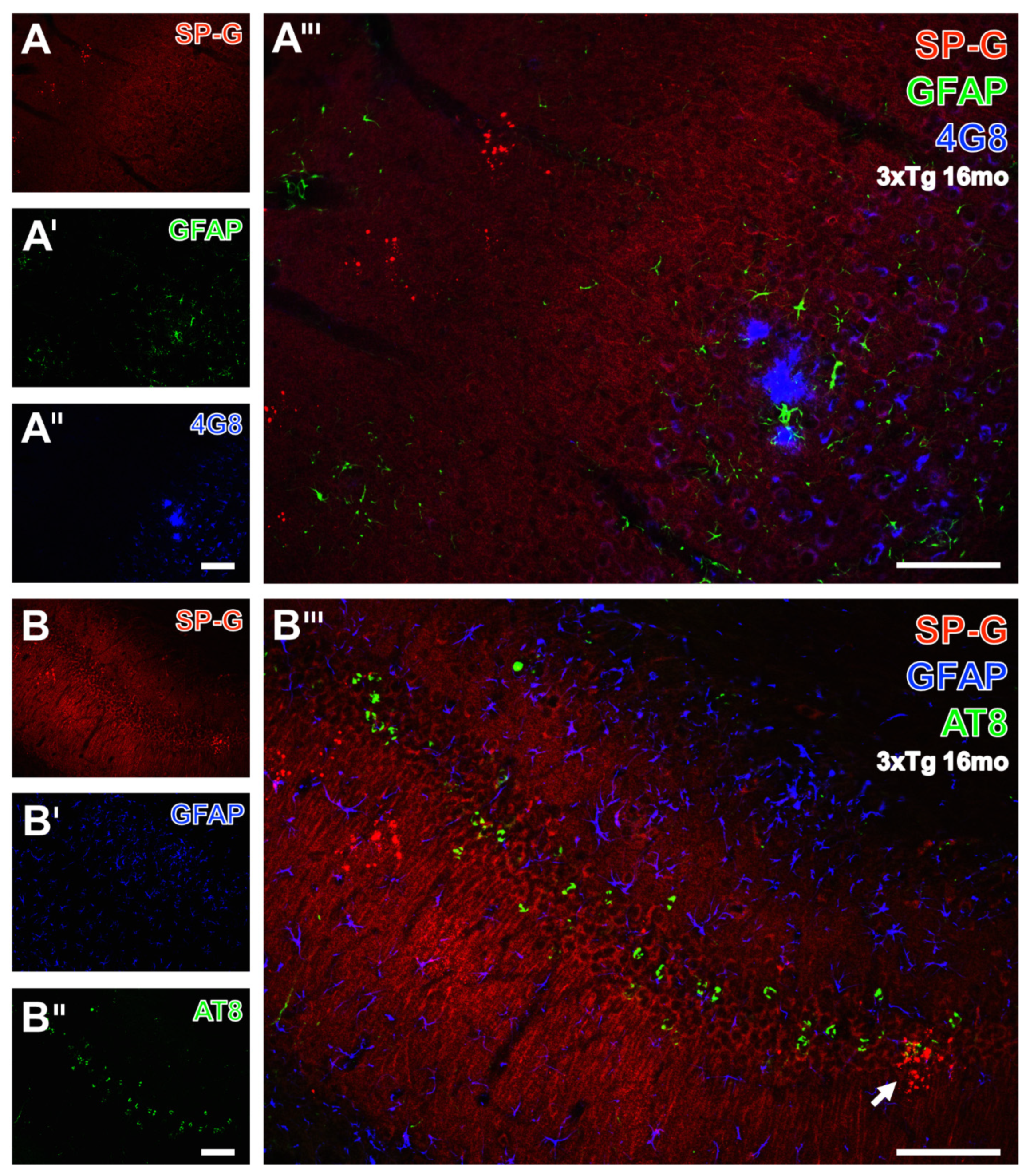 Biomolecules 12 00096 g008
