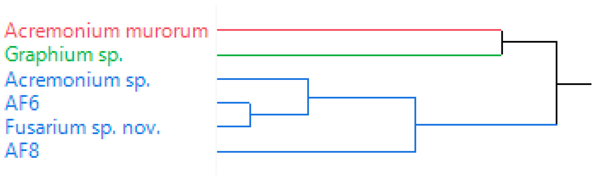 Biomolecules 12 00097 g004