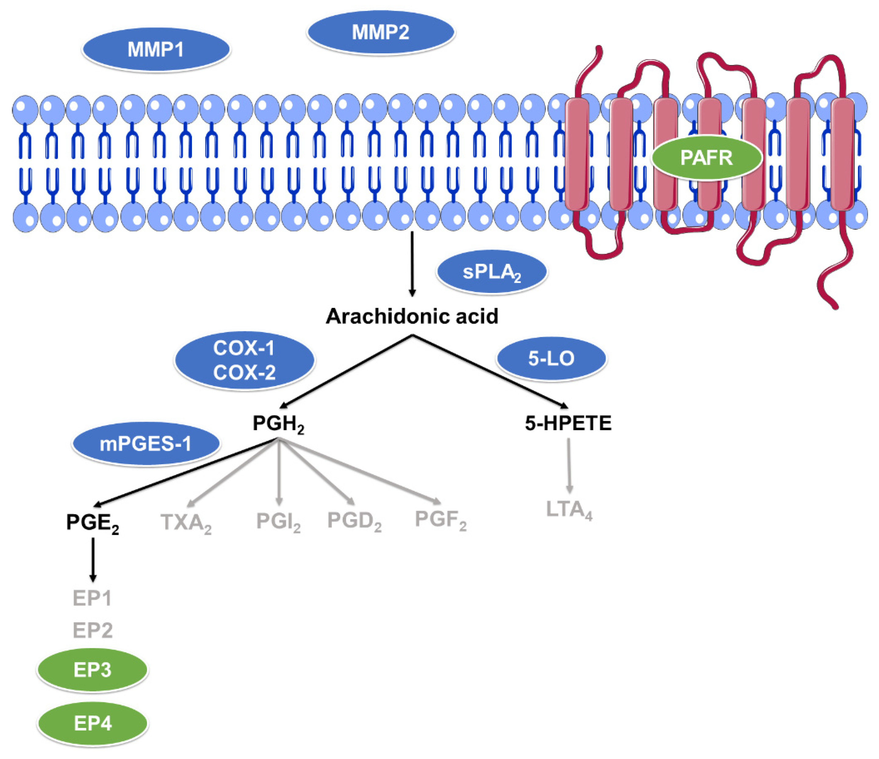 Biomolecules 12 00099 g002