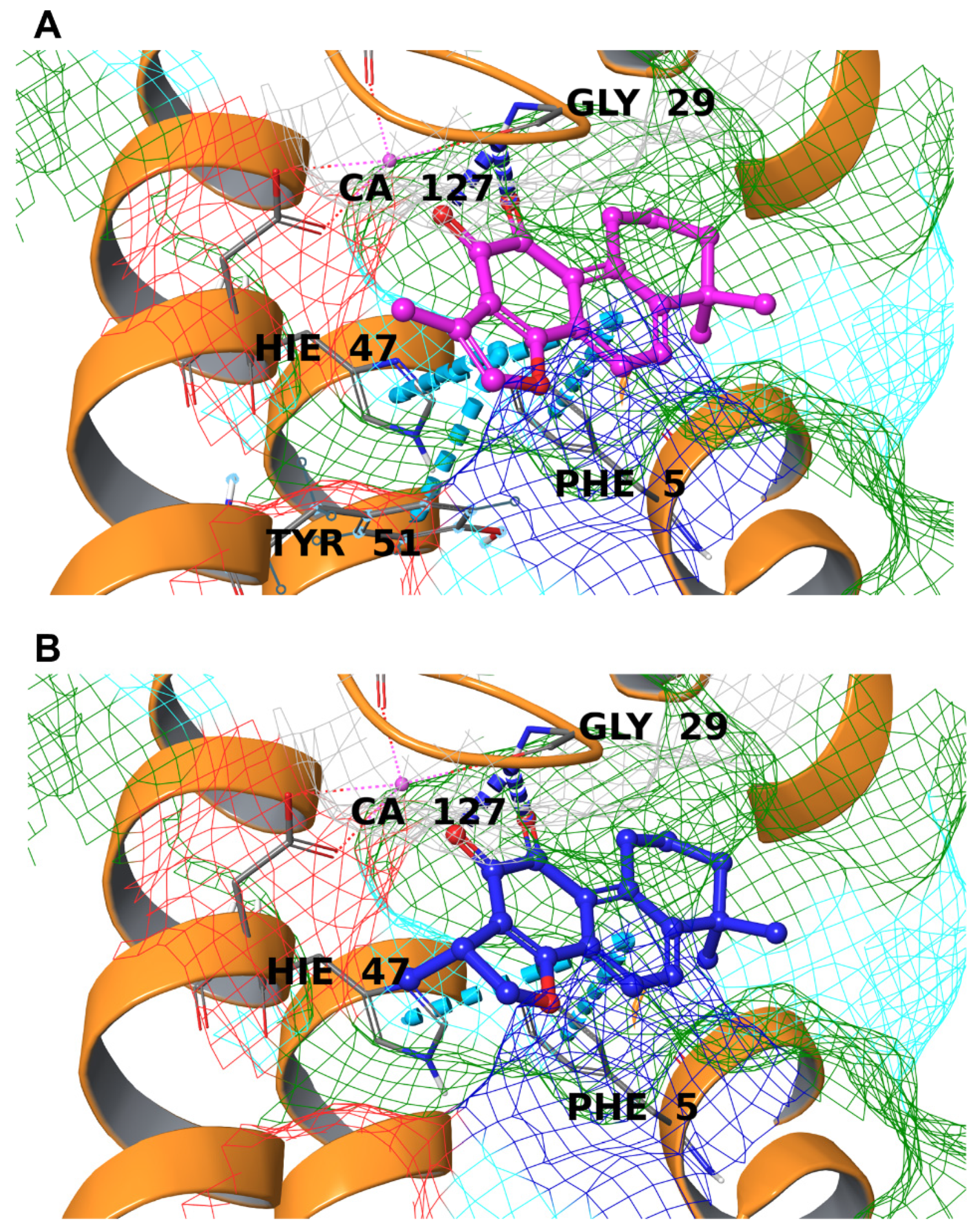 Biomolecules 12 00099 g004