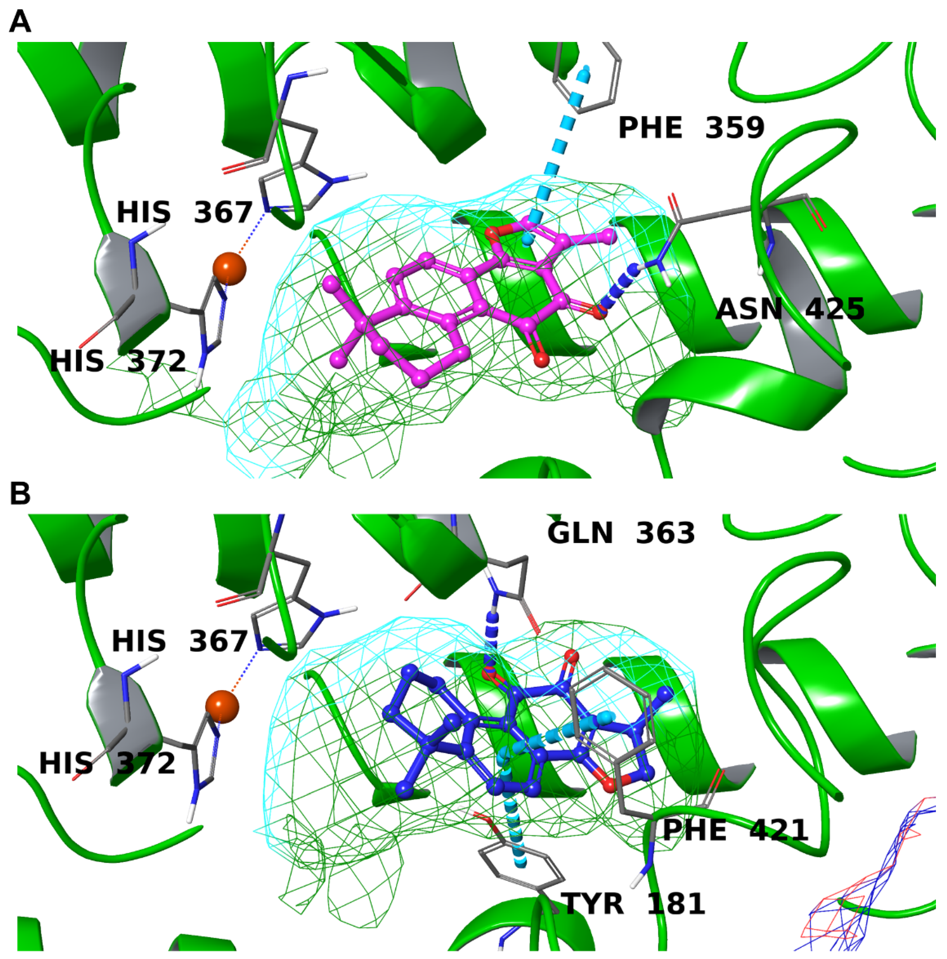 Biomolecules 12 00099 g006