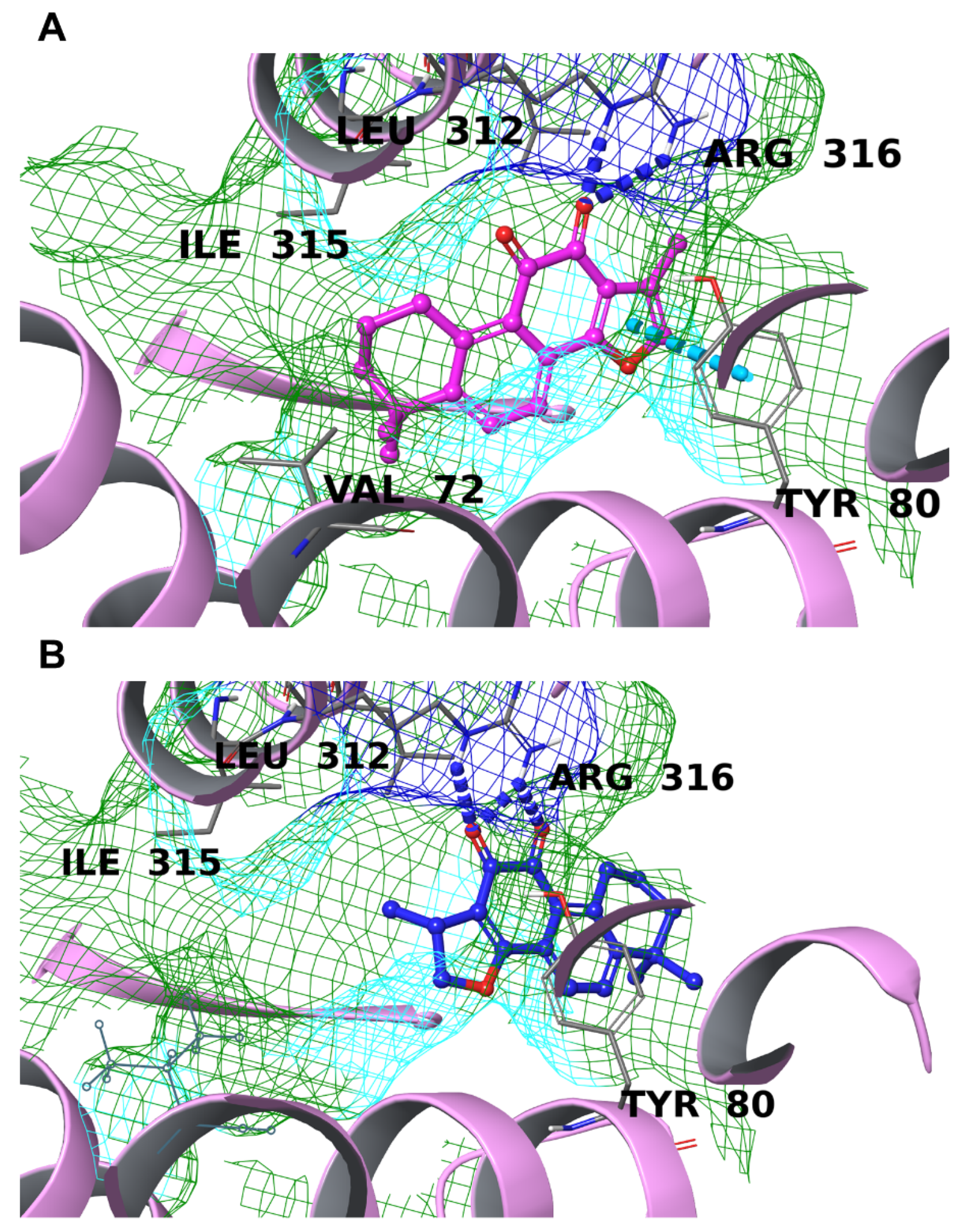 Biomolecules 12 00099 g010