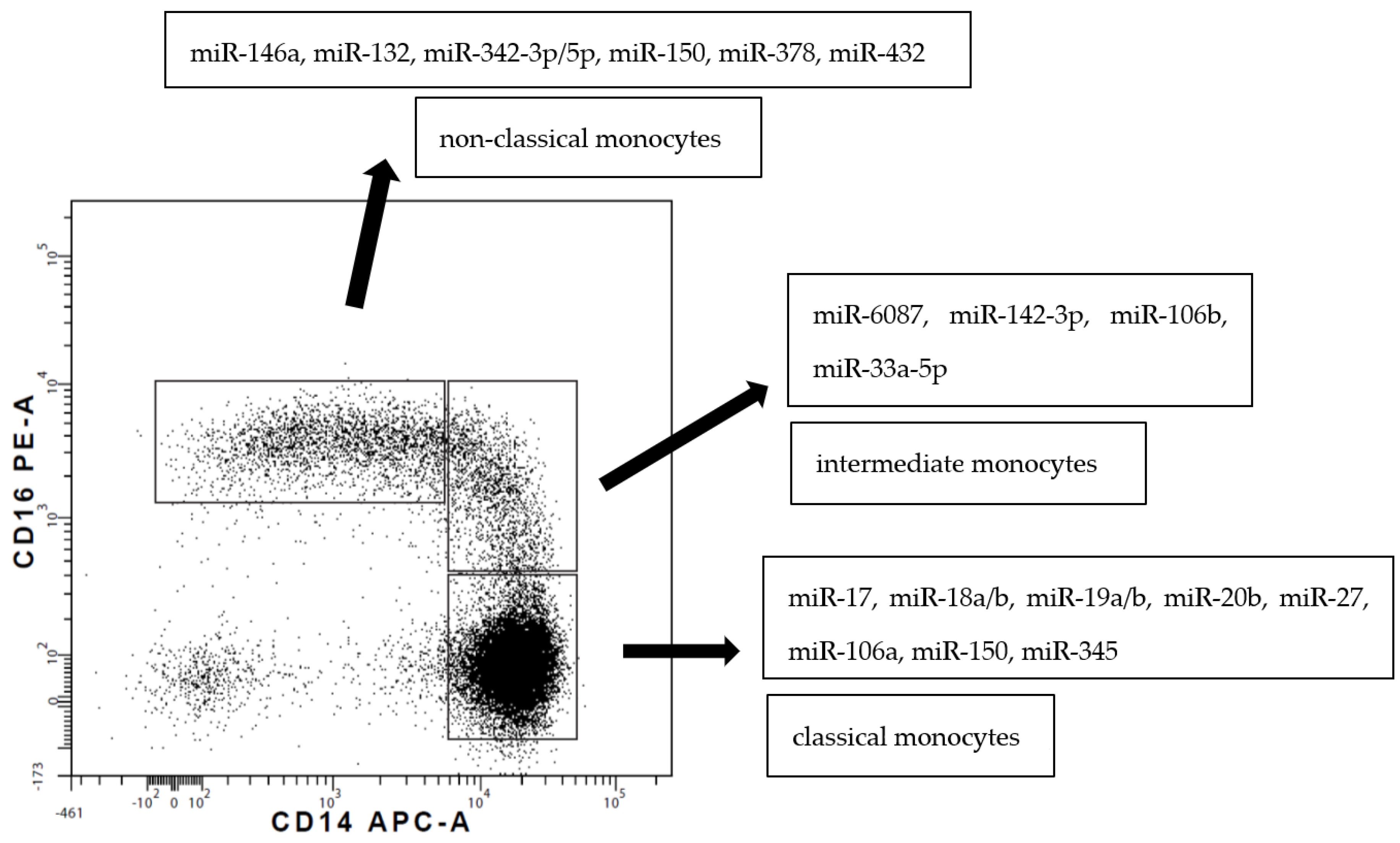 Biomolecules 12 00100 g002 Biomolecules 12 00100 g002