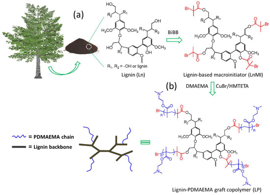 Lignin-Based Nonviral Gene Carriers Functionalized by Poly[2