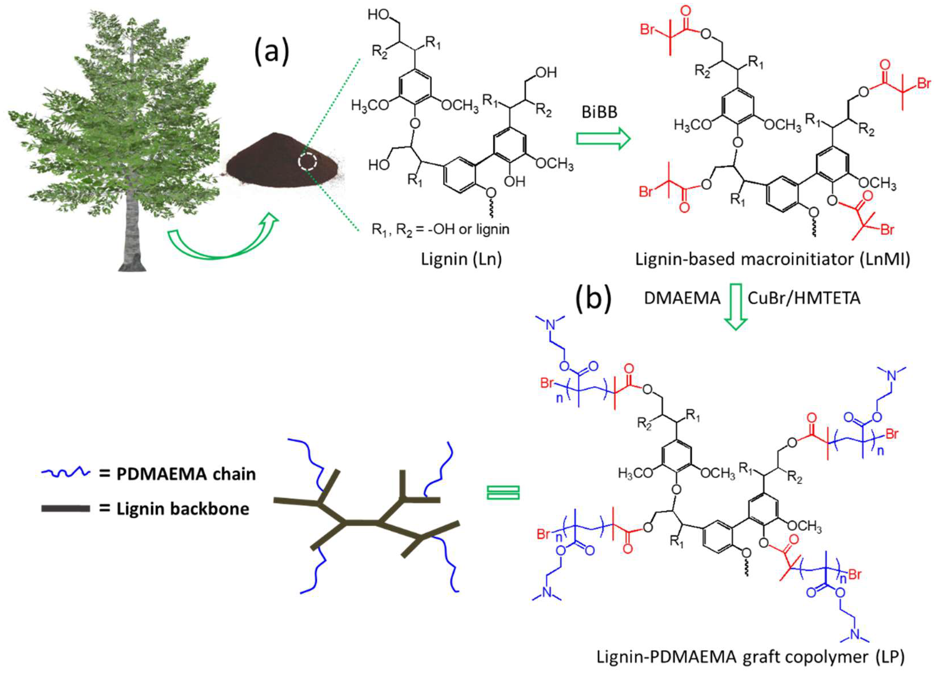 Lignin-Based Nonviral Gene Carriers Functionalized by Poly[2