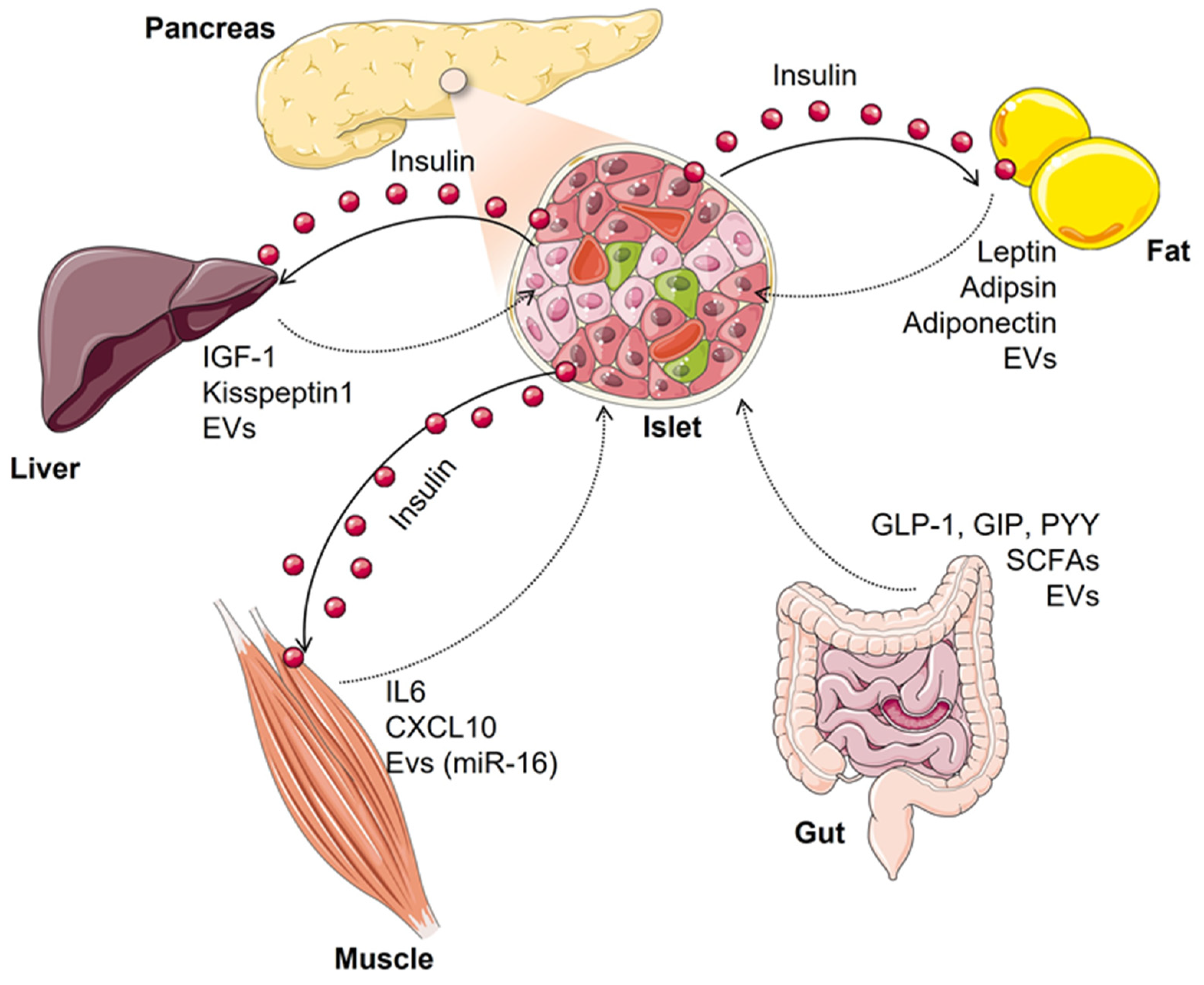 Biomolecules | Free Full-Text | Multi-Organ Crosstalk with 