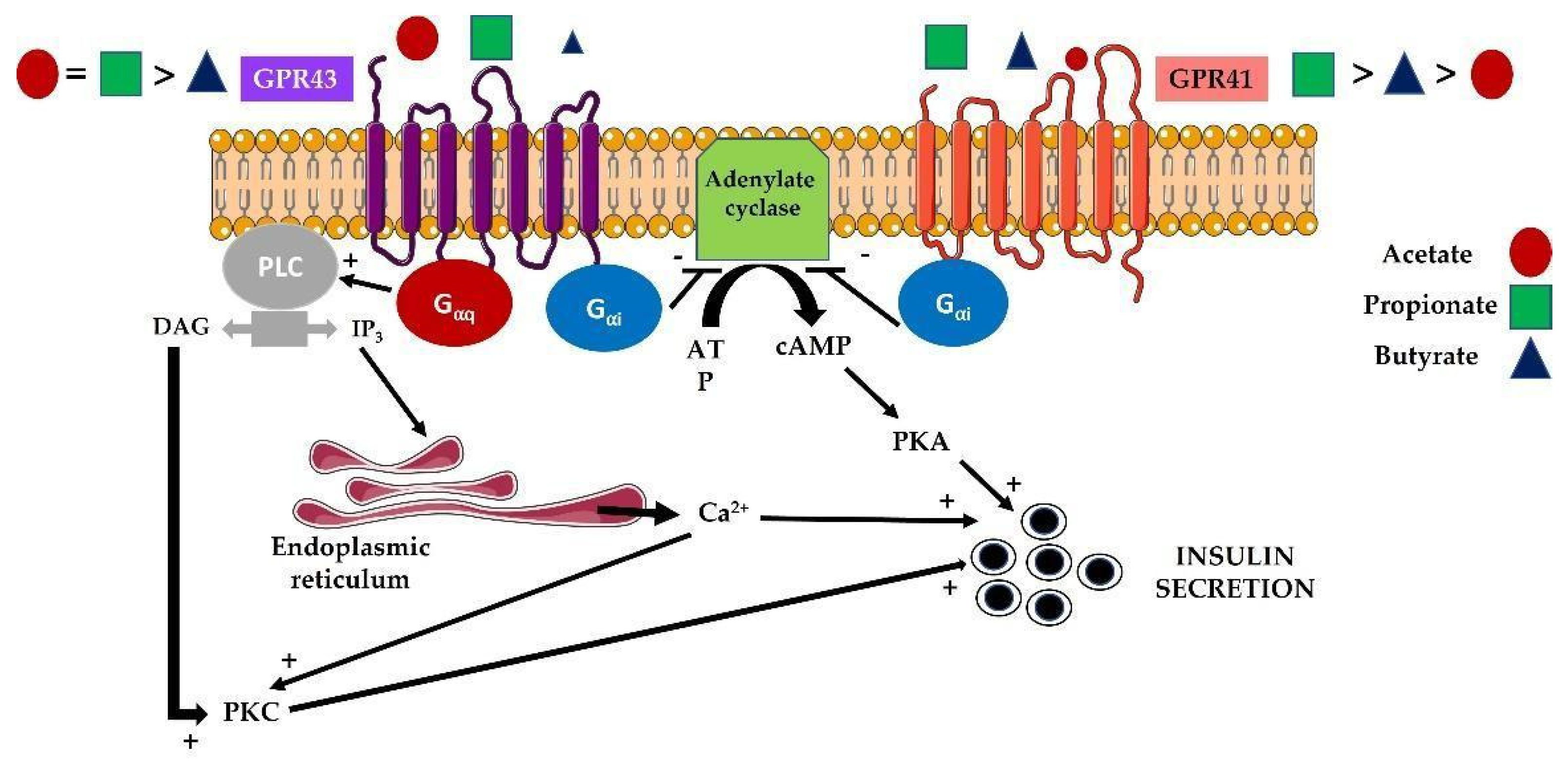 Biomolecules 12 00104 g002 550