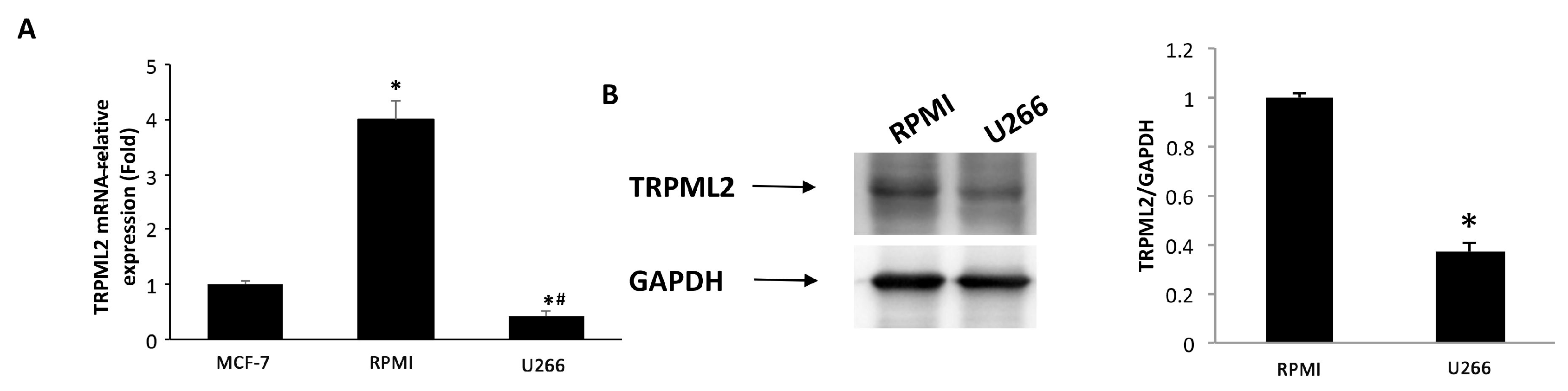 Biomolecules 12 00107 g007