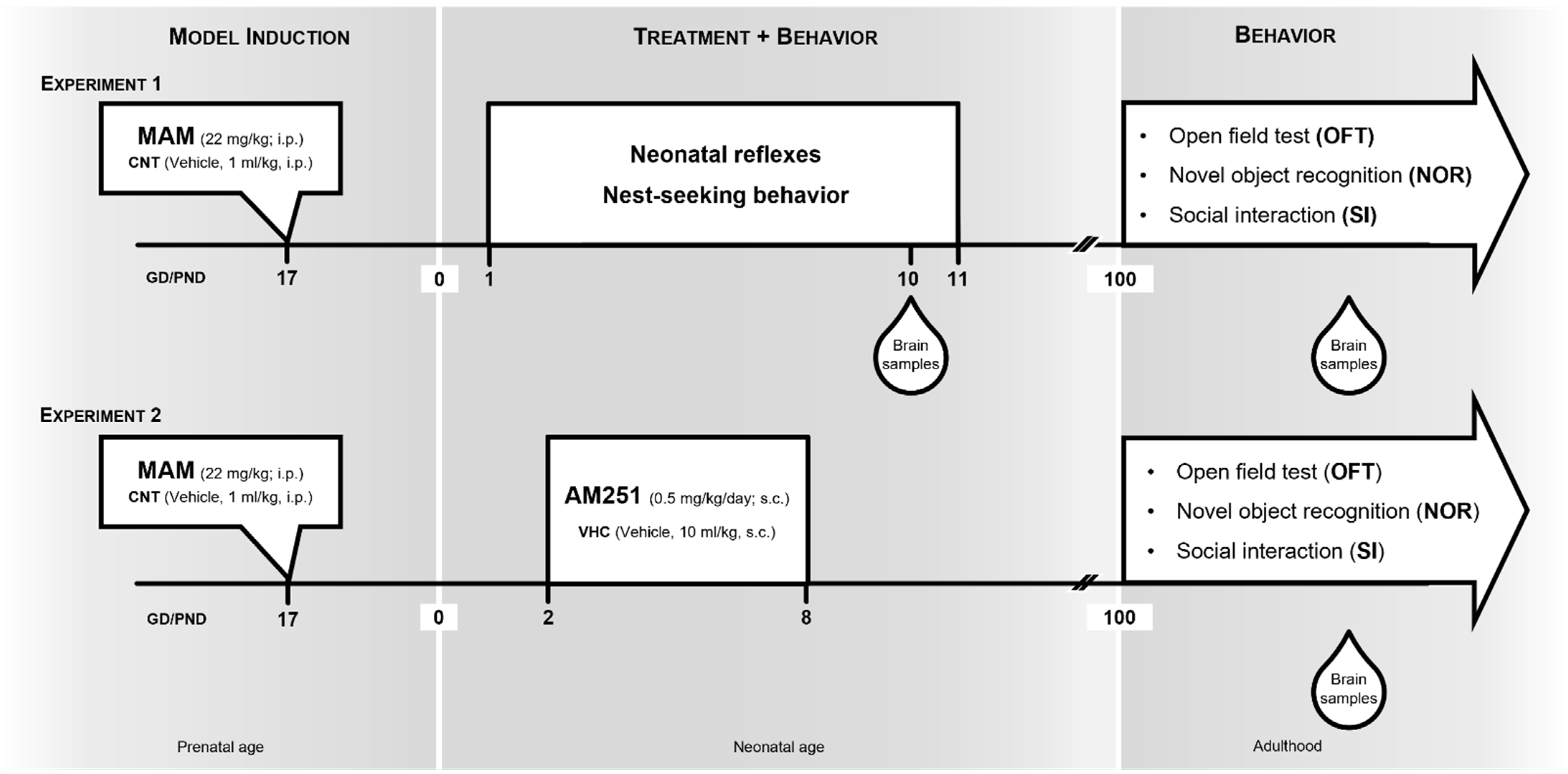 Biomolecules 12 00108 g001 Biomolecules 12 00108 g001