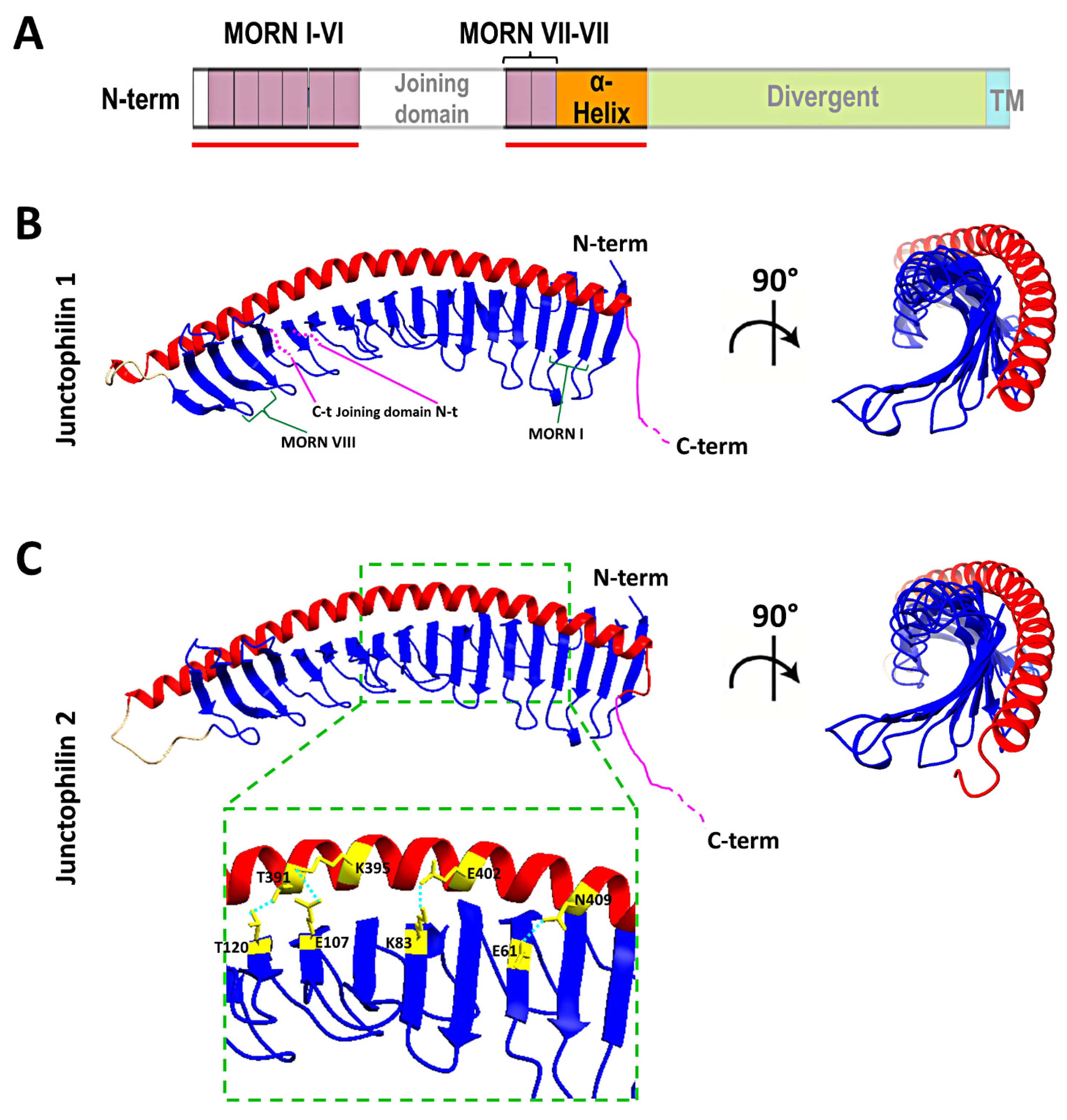 Biomolecules 12 00109 g003