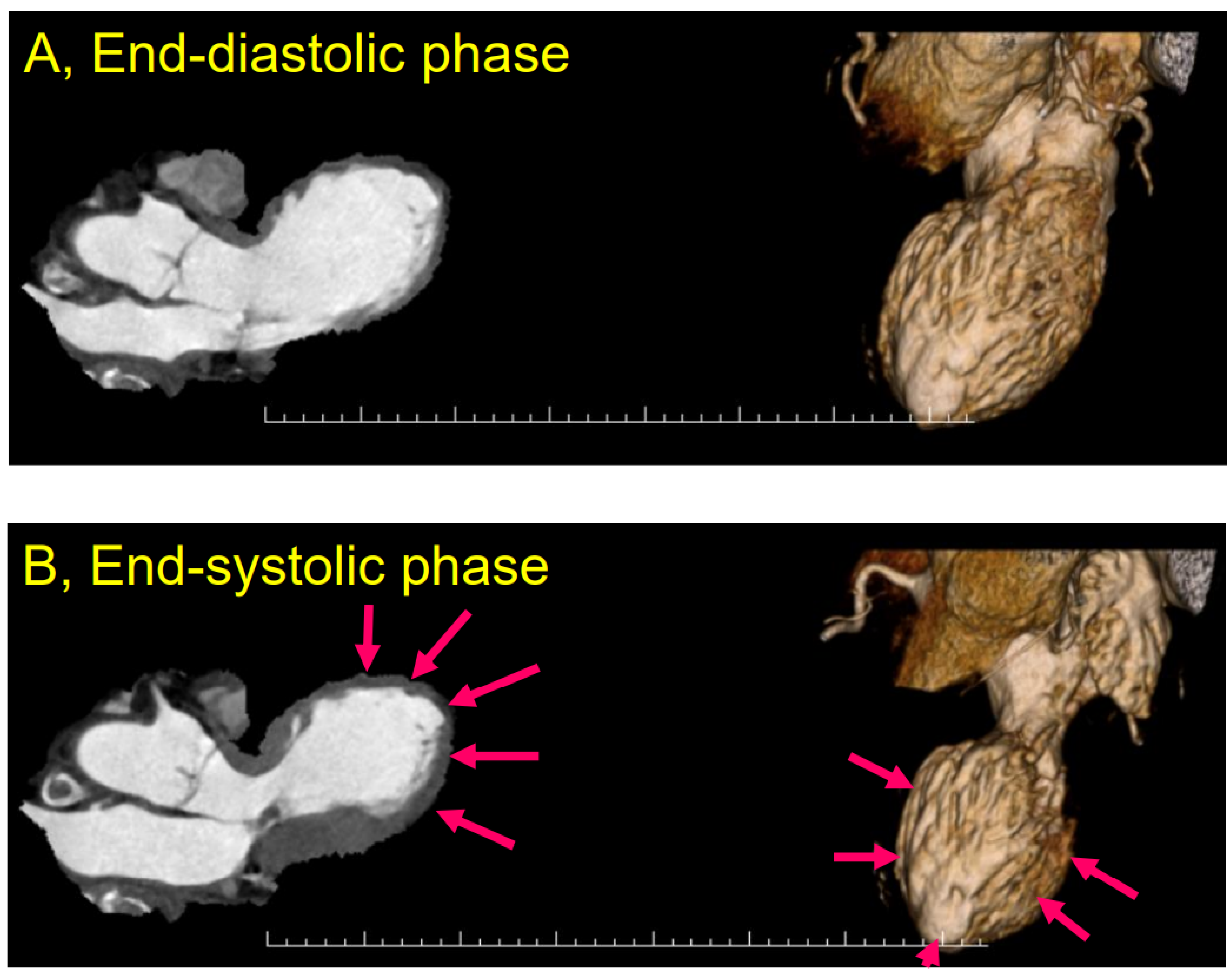 Biomolecules 12 00110 g002 Biomolecules 12 00110 g002