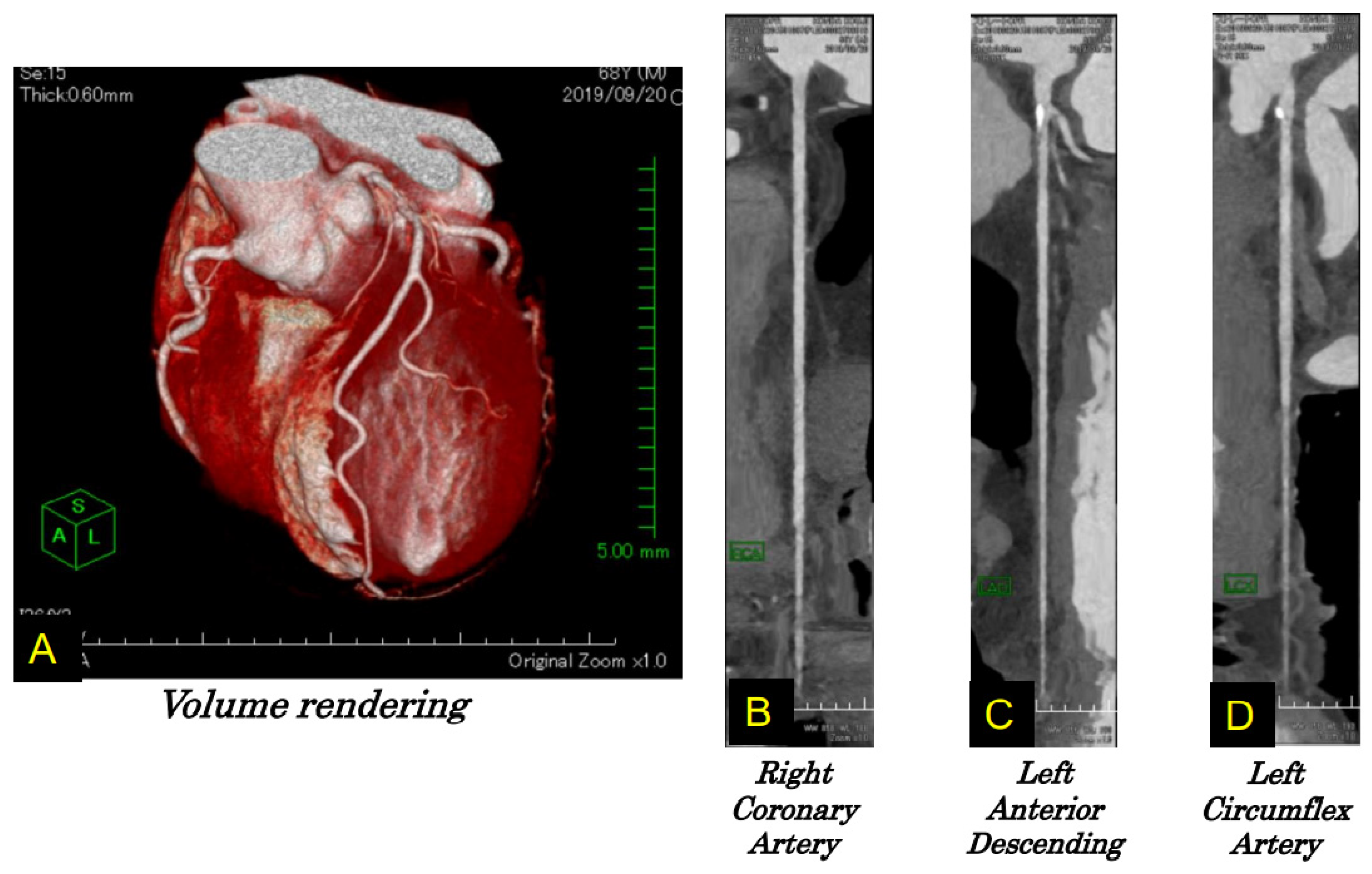 Biomolecules 12 00110 g003 Biomolecules 12 00110 g003