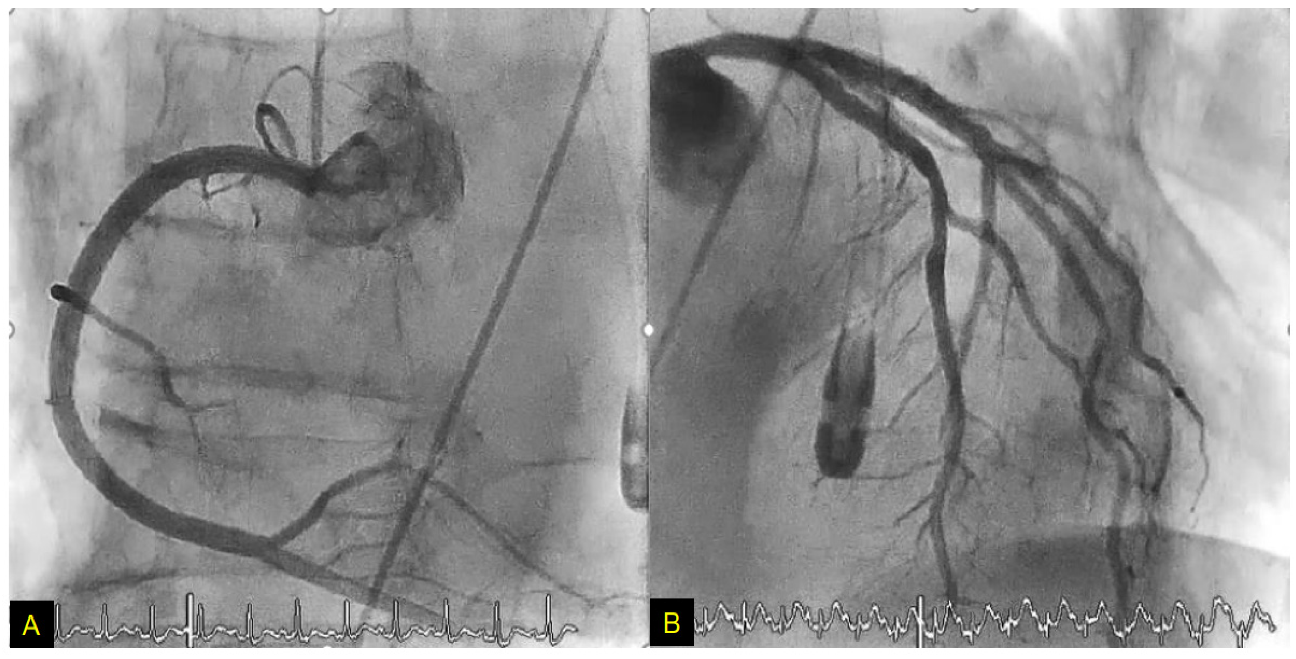 Biomolecules 12 00110 g007 Biomolecules 12 00110 g007