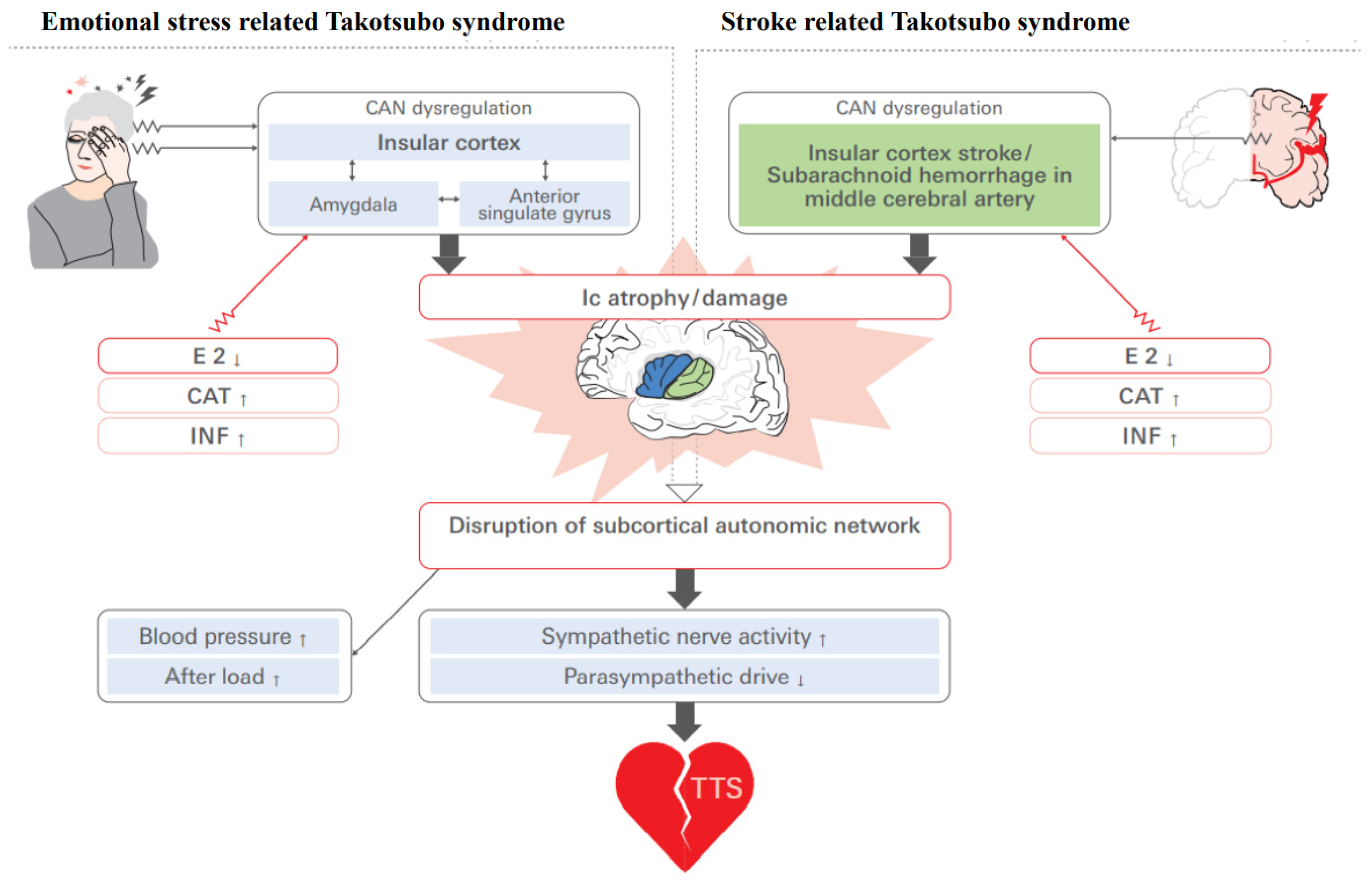 Biomolecules 12 00110 g009 Biomolecules 12 00110 g009