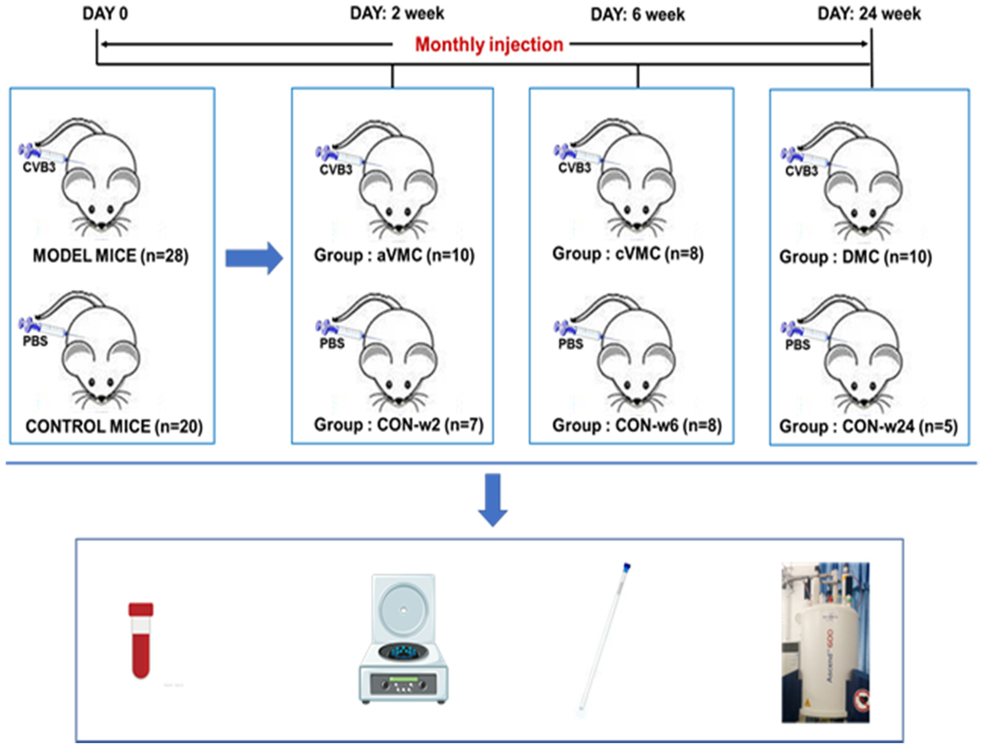 Biomolecules 12 00112 g001 550