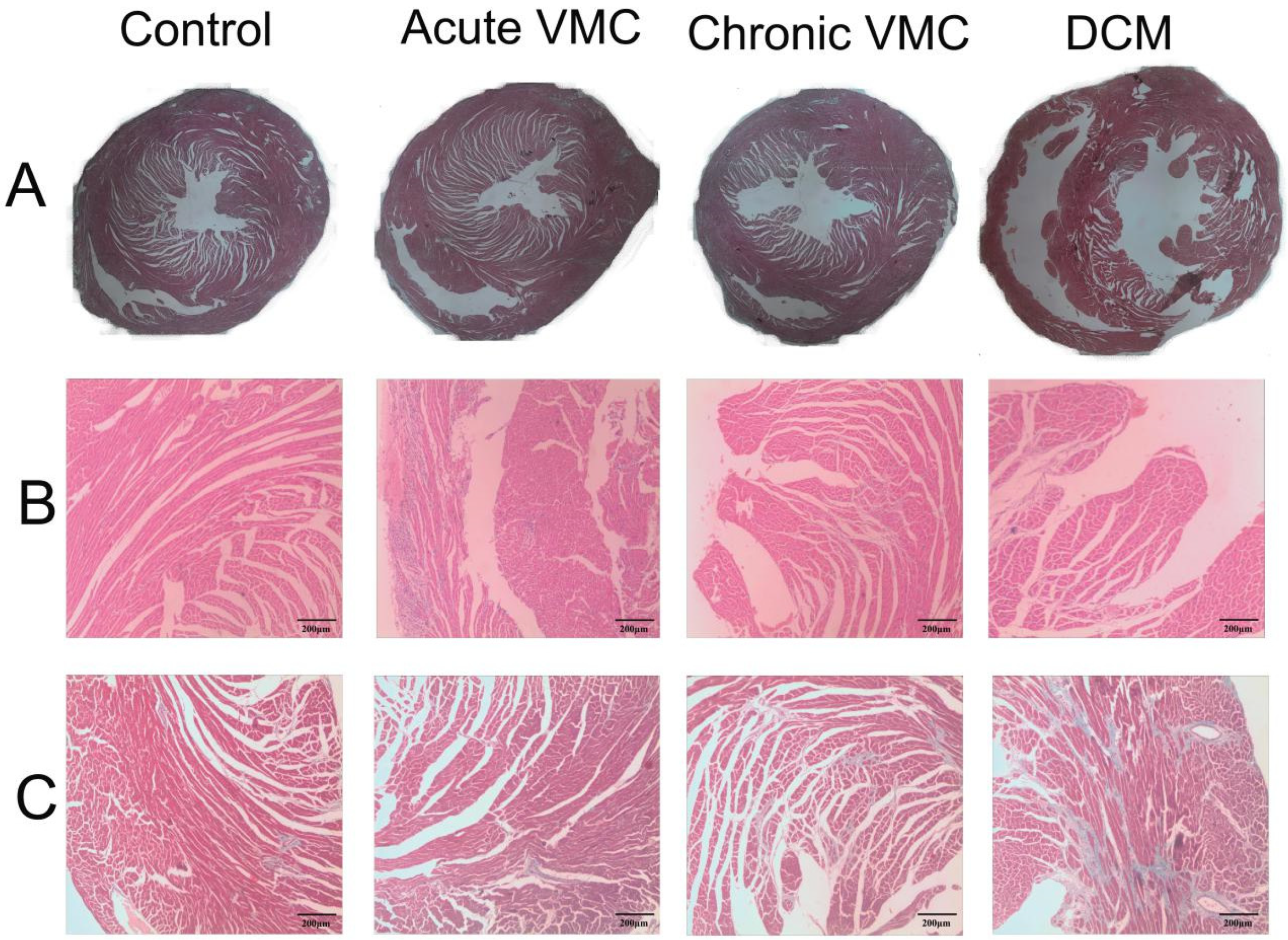 Biomolecules 12 00112 g002 550