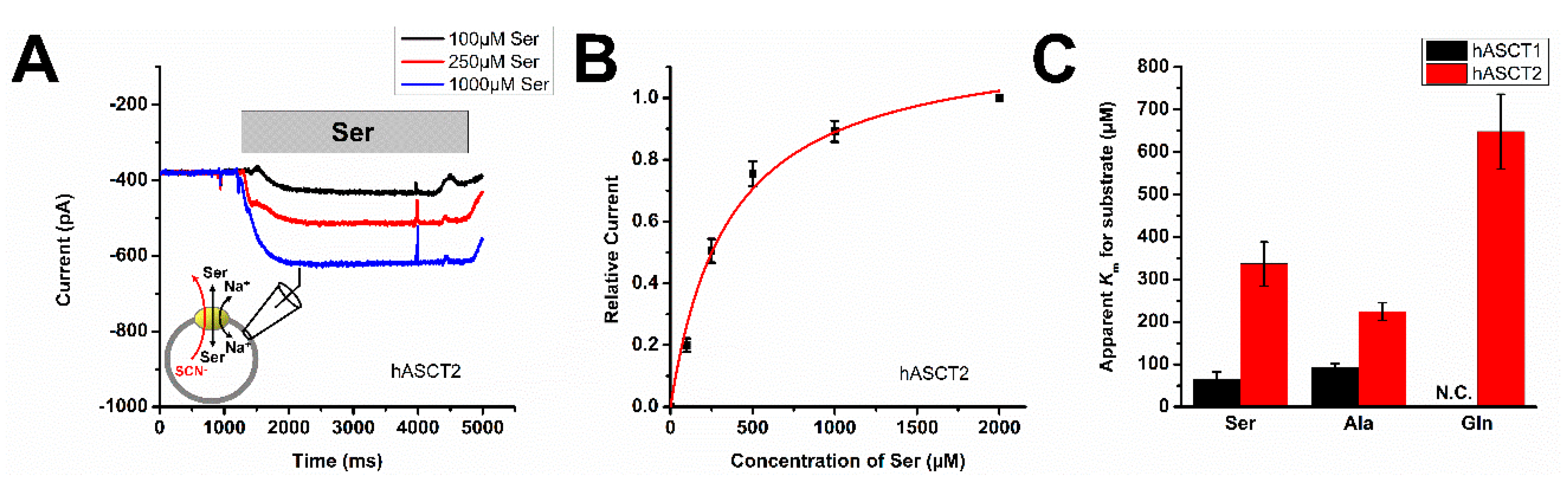 Biomolecules 12 00113 g001