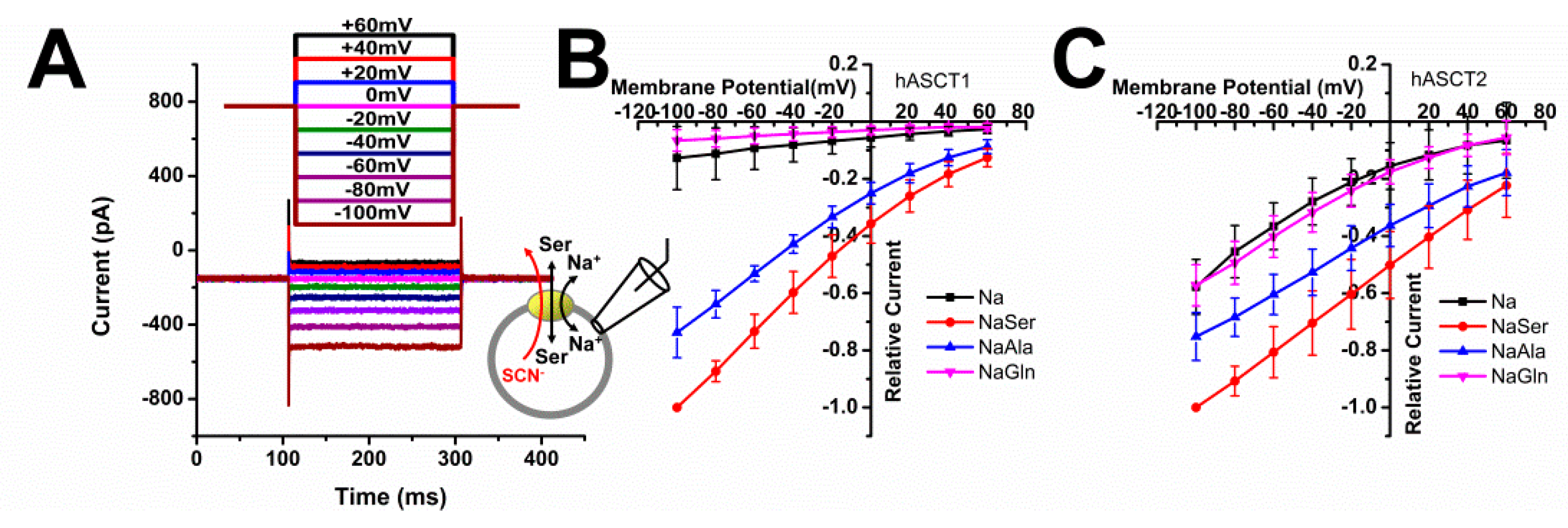 Biomolecules 12 00113 g002