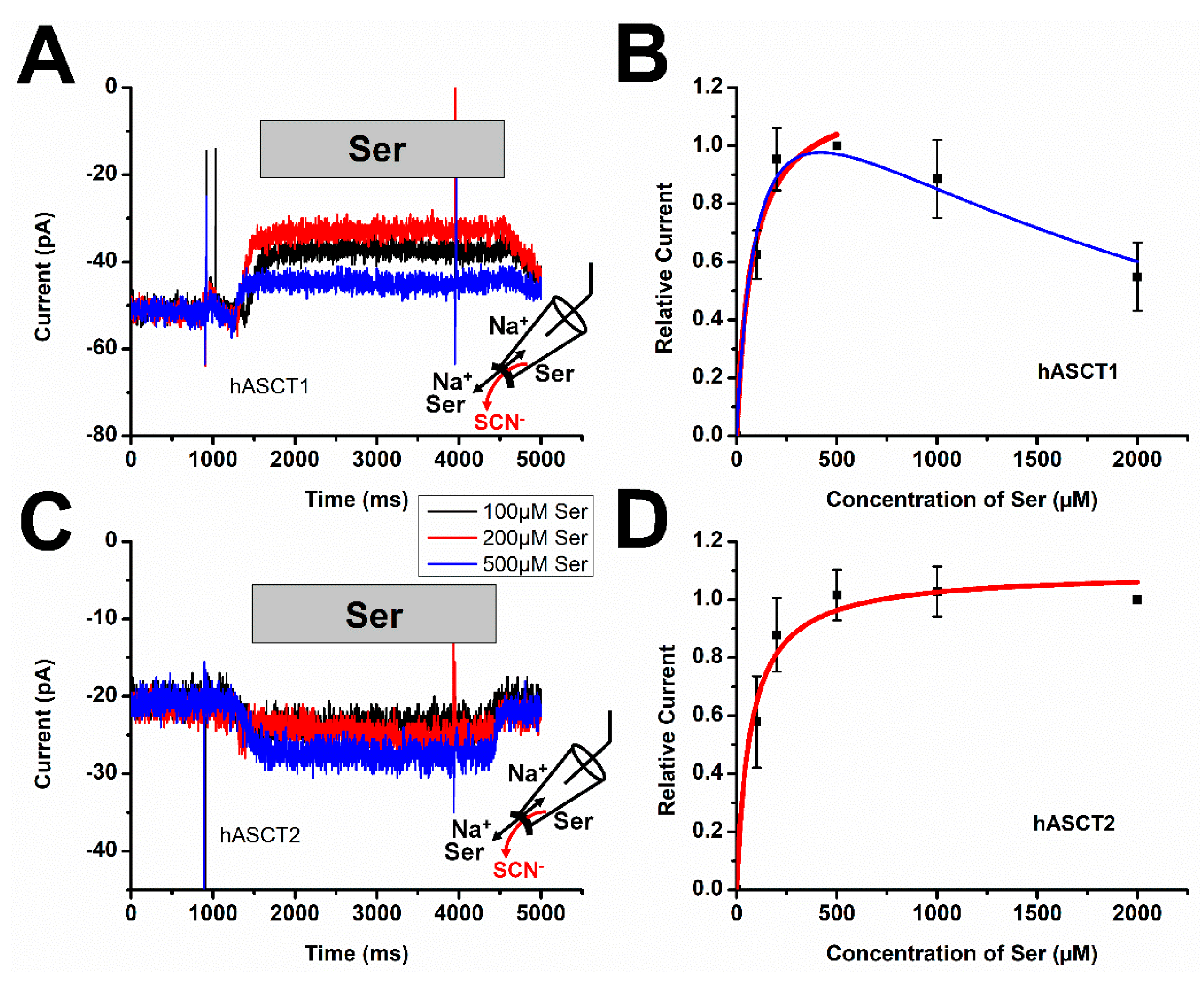 Biomolecules 12 00113 g003