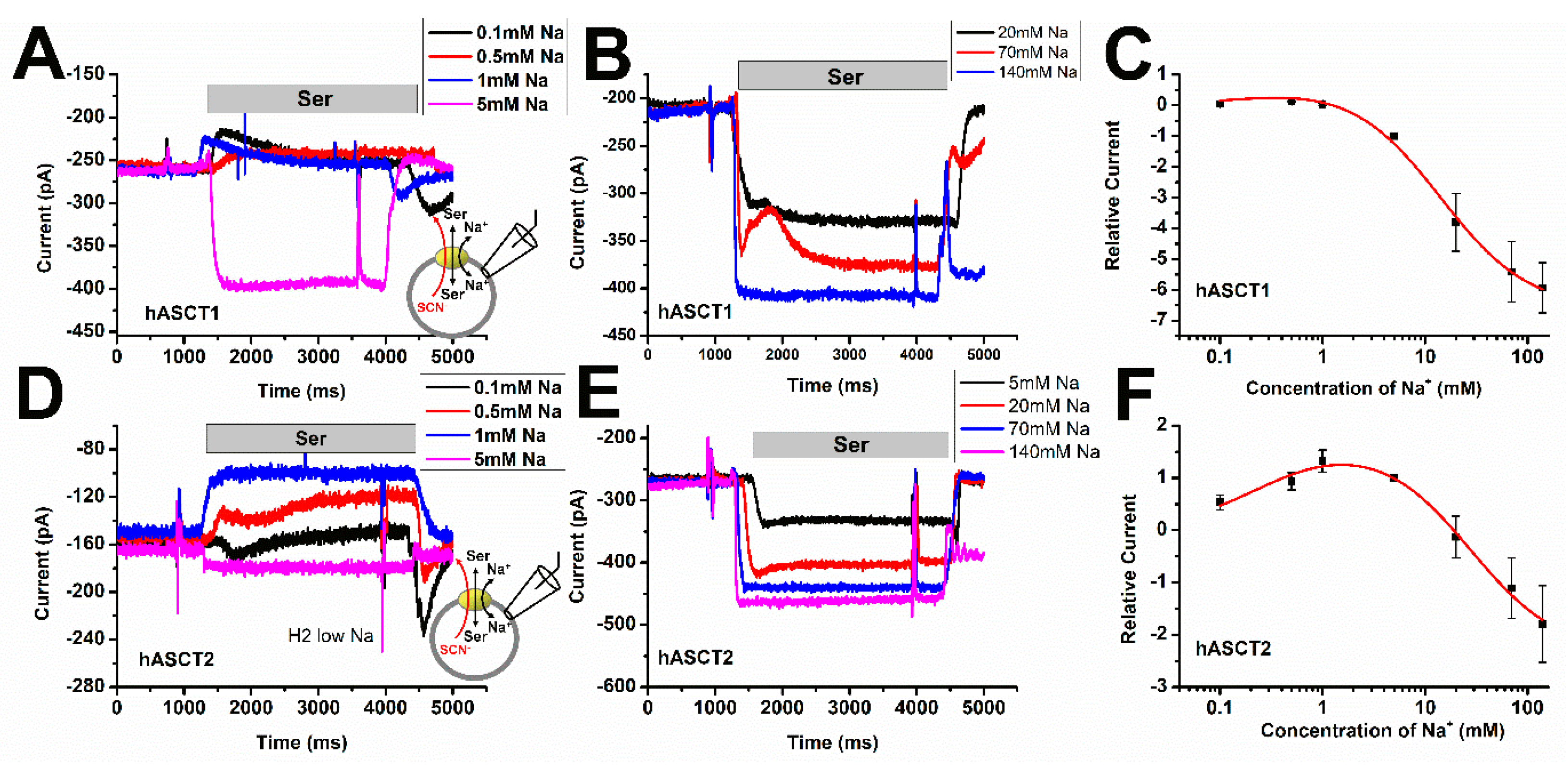Biomolecules 12 00113 g004