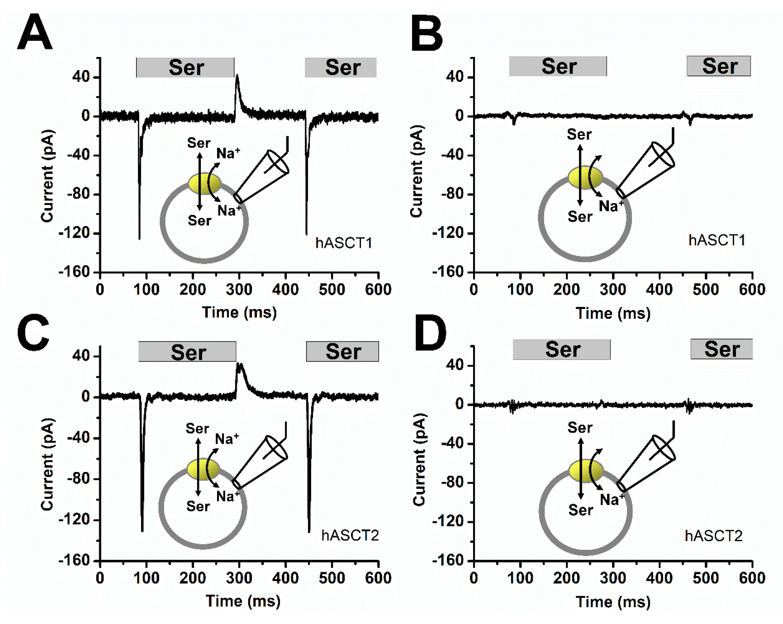 Biomolecules 12 00113 g005