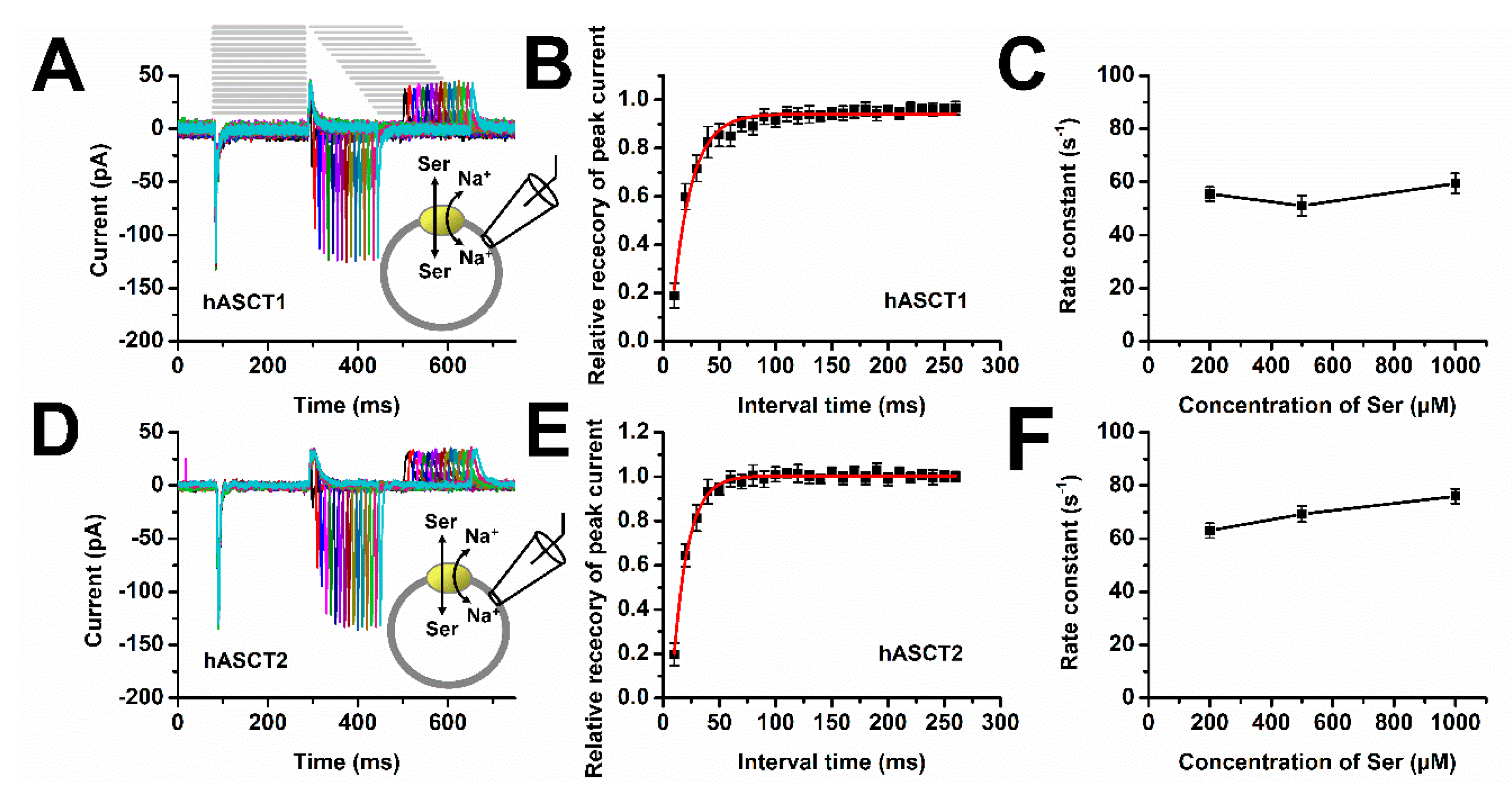 Biomolecules 12 00113 g006