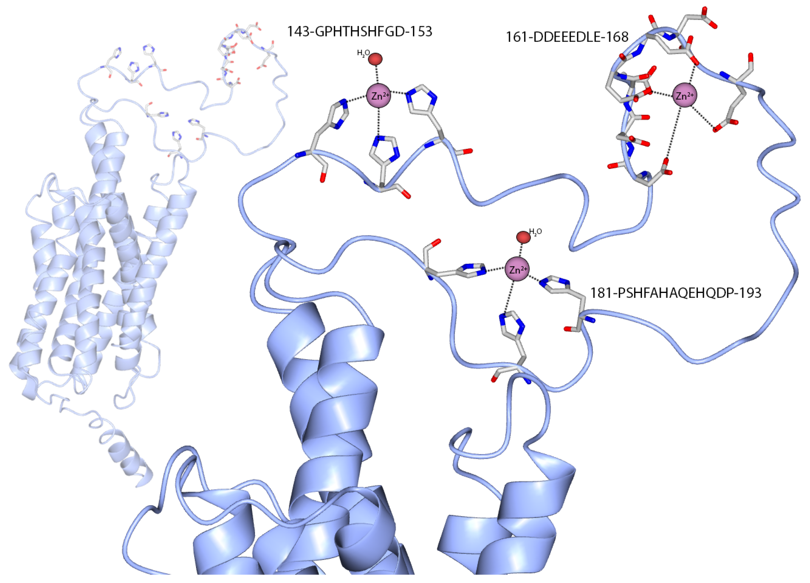 Biomolecules 12 00121 g008 550