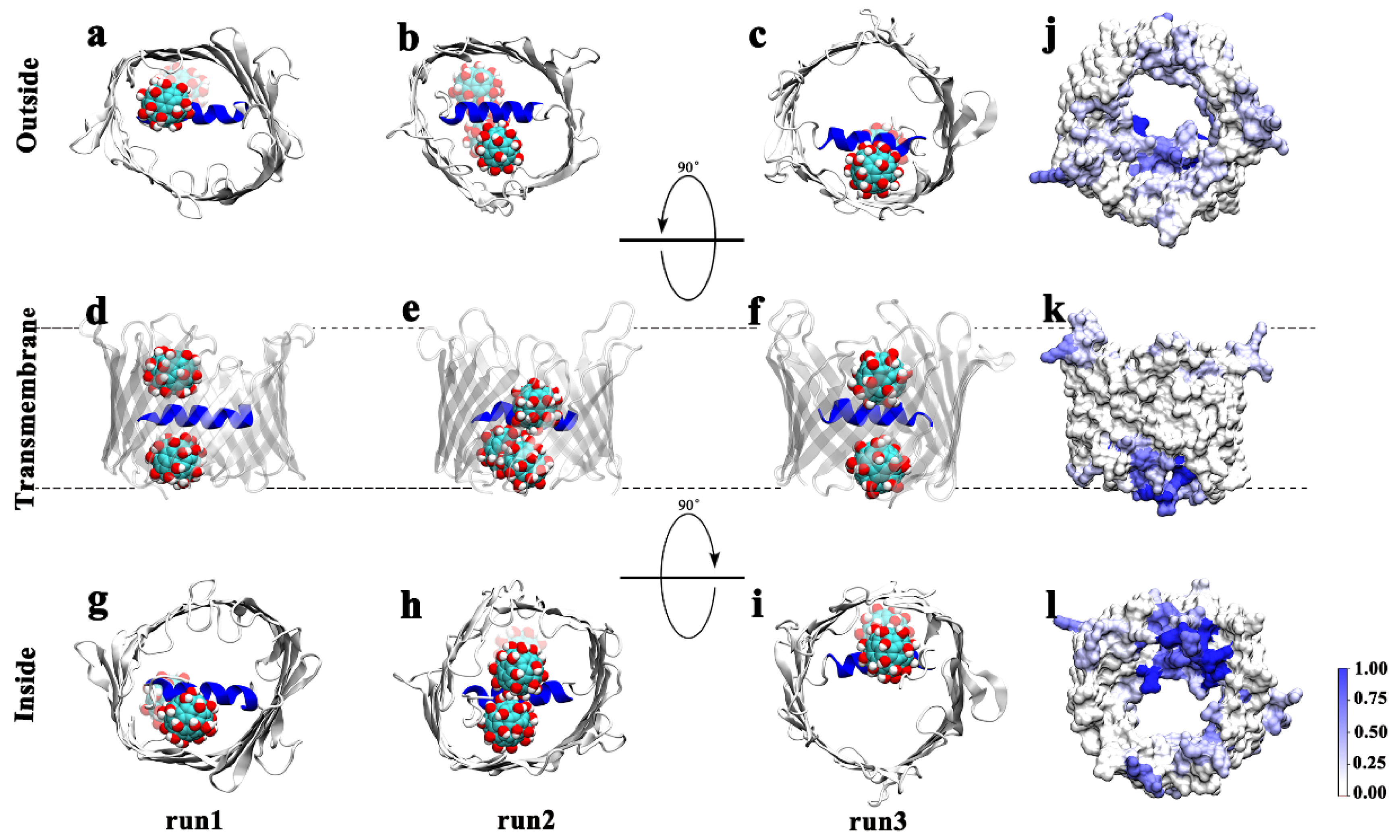 Biomolecules 12 00123 g002 Biomolecules 12 00123 g002