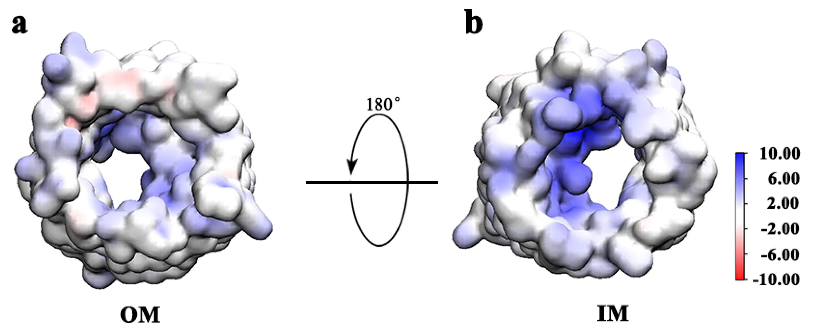 Biomolecules 12 00123 g007 Biomolecules 12 00123 g007