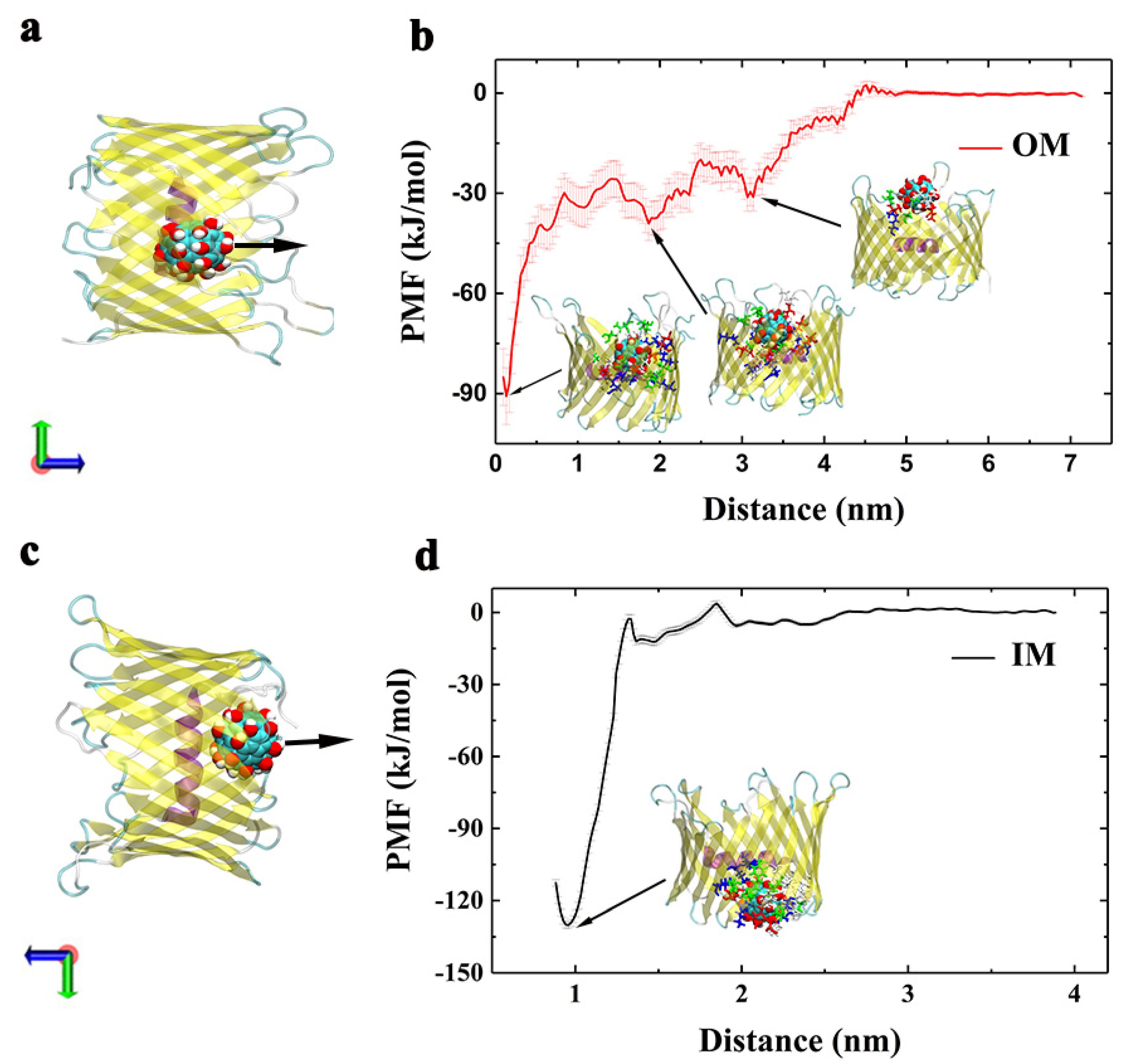 Biomolecules 12 00123 g008 Biomolecules 12 00123 g008