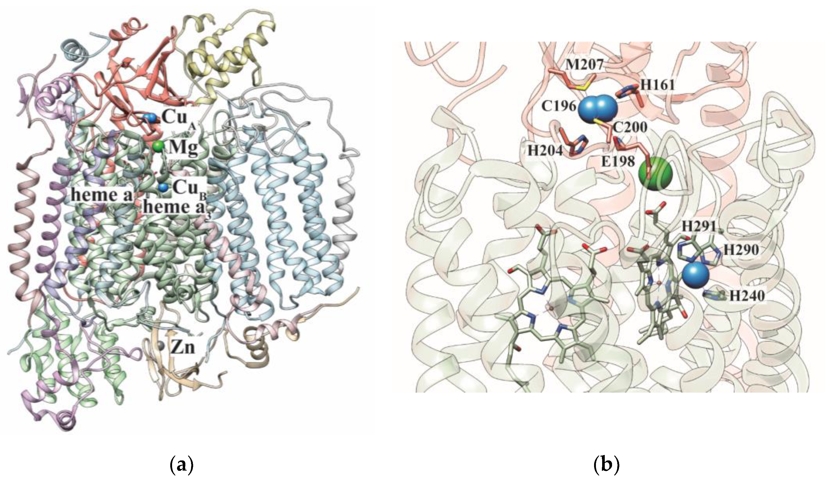 Biomolecules 12 00125 g001
