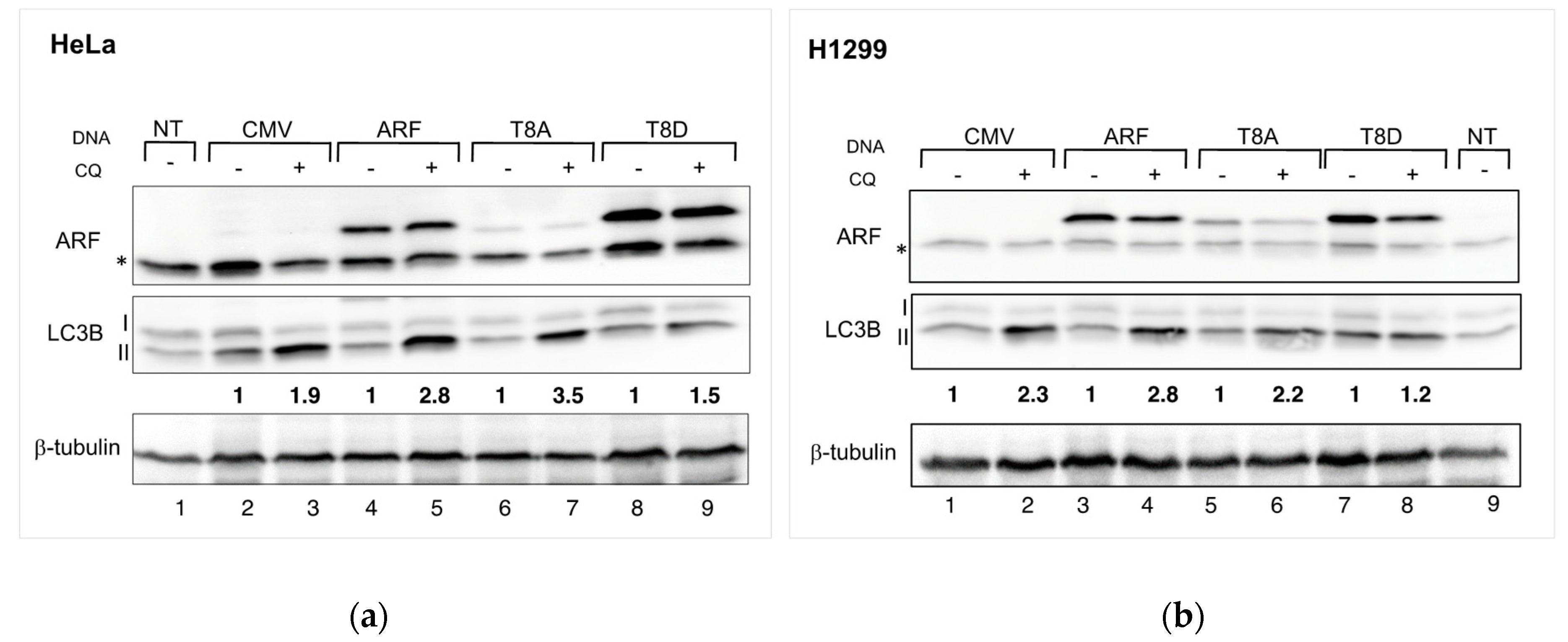 Biomolecules 12 00126 g002 550