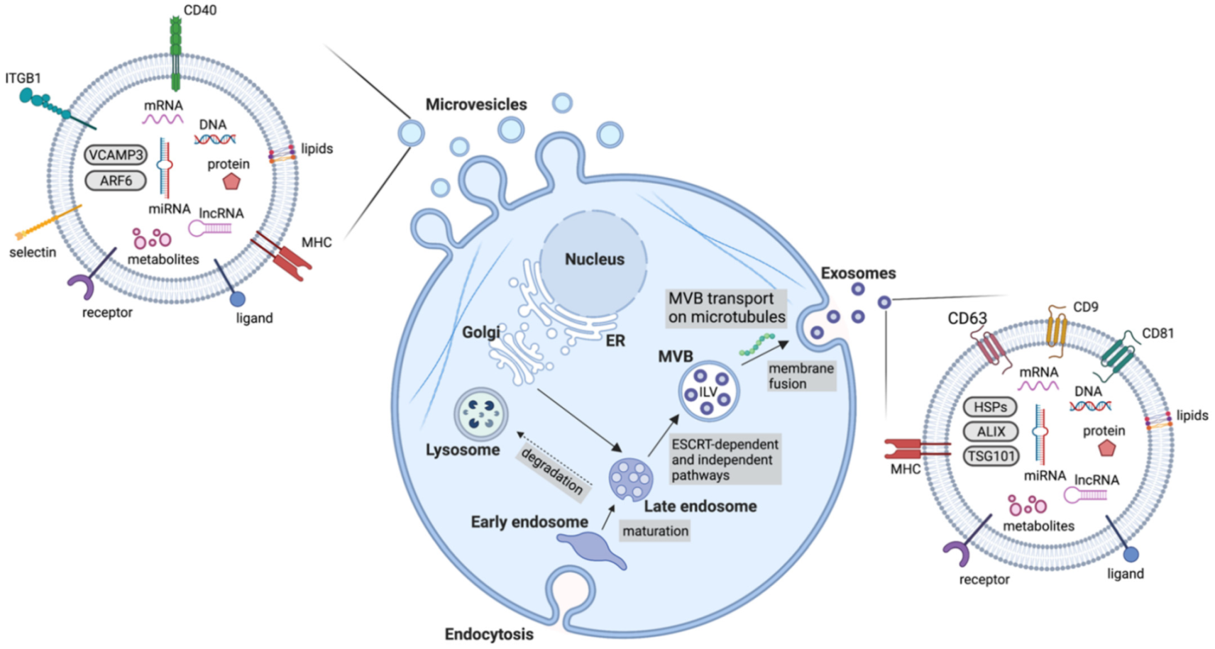 Biomolecules 12 00132 g002