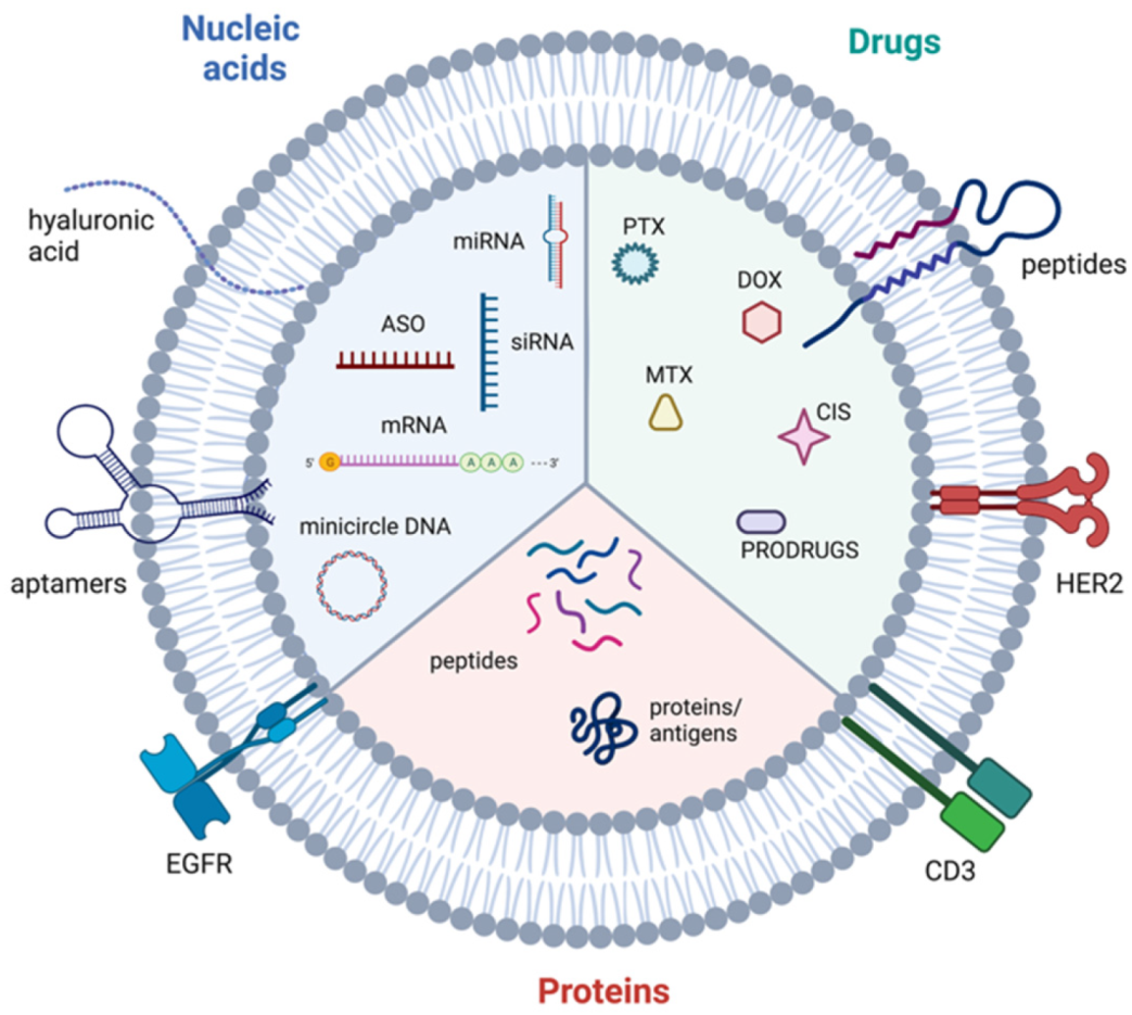 Biomolecules 12 00132 g006