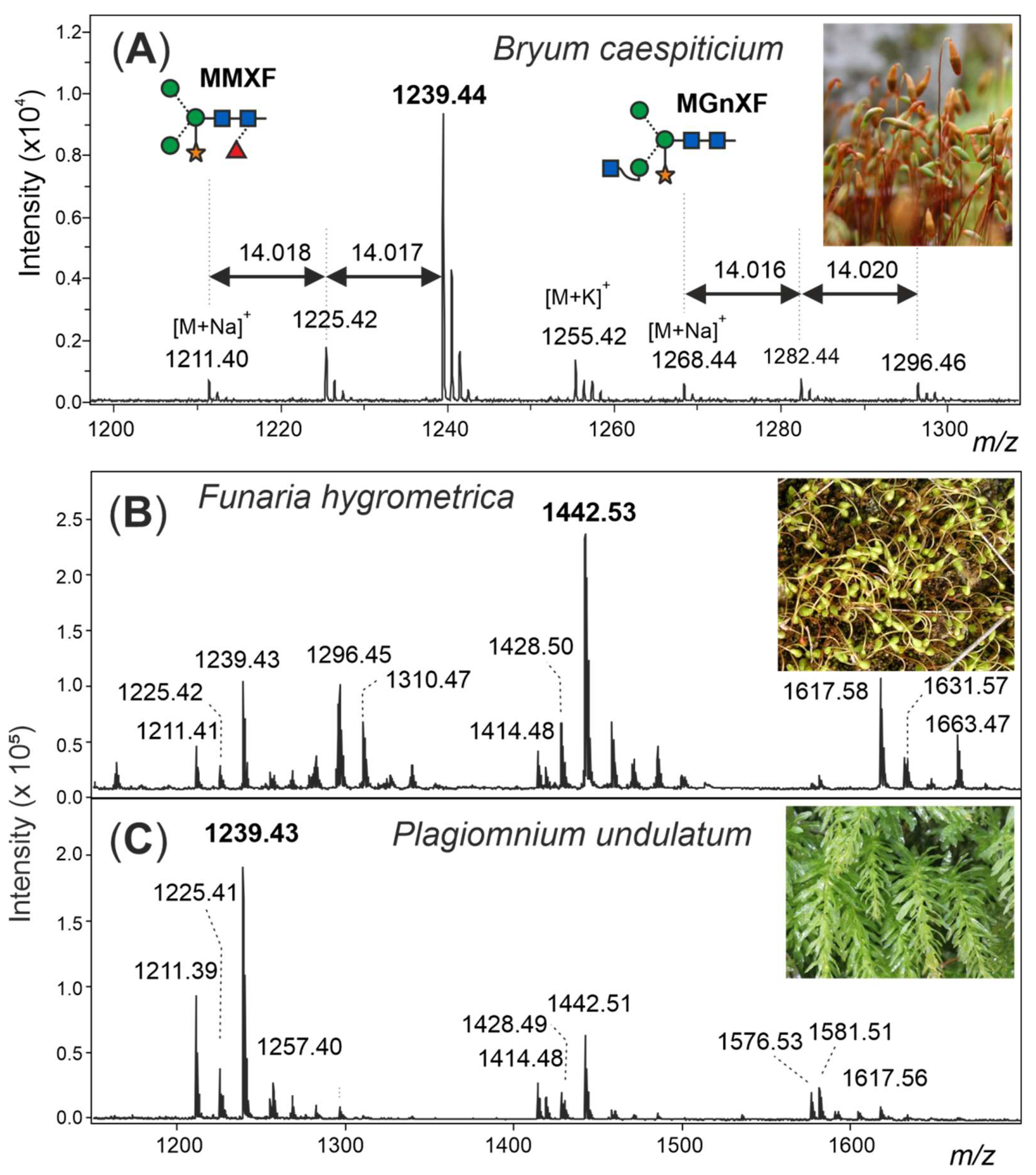 Biomolecules 12 00136 g001 Biomolecules 12 00136 g001