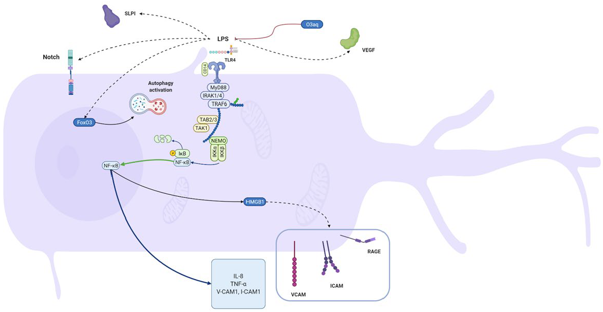 Biomolecules 12 00138 g002