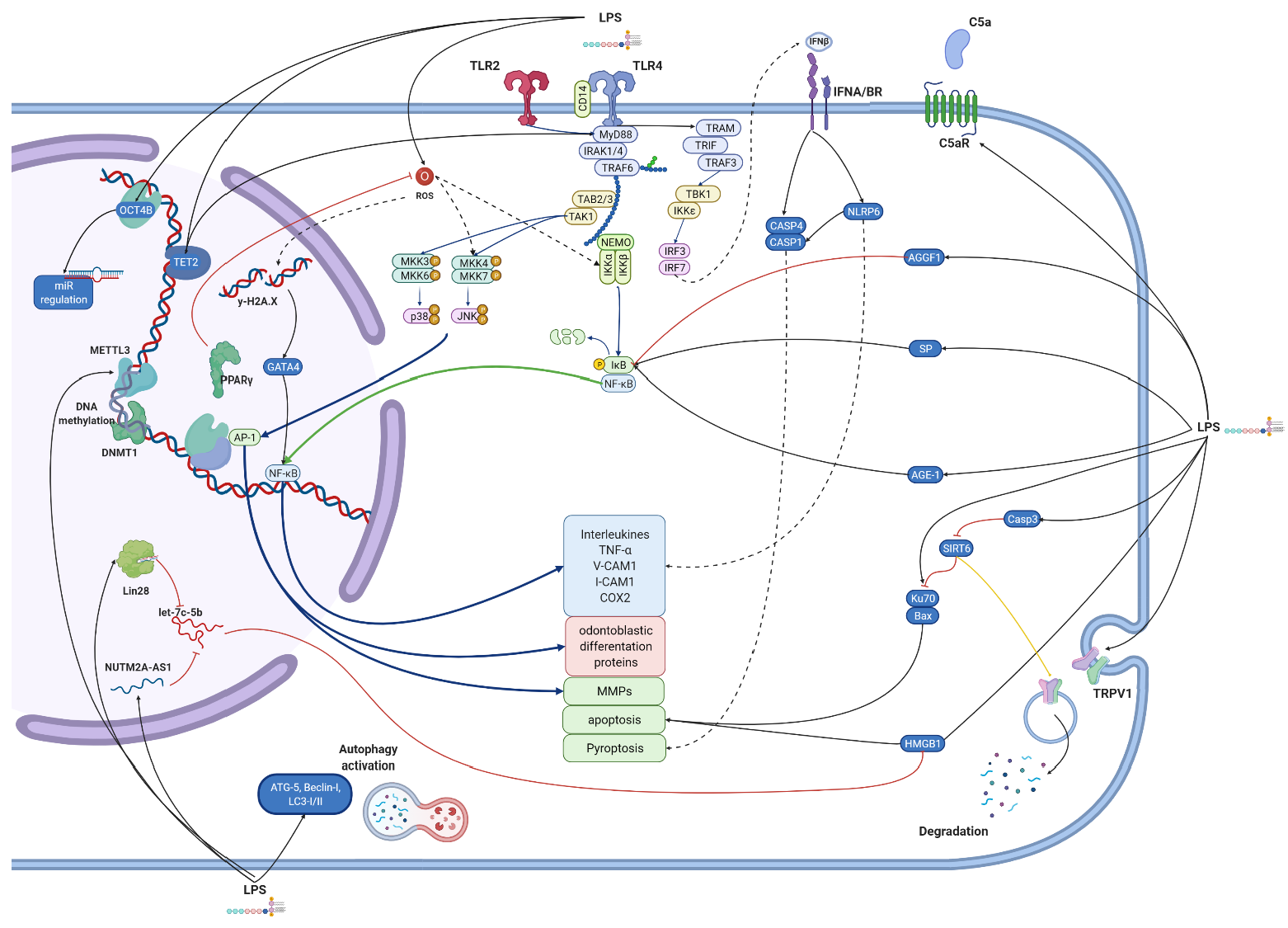 Biomolecules 12 00138 g003