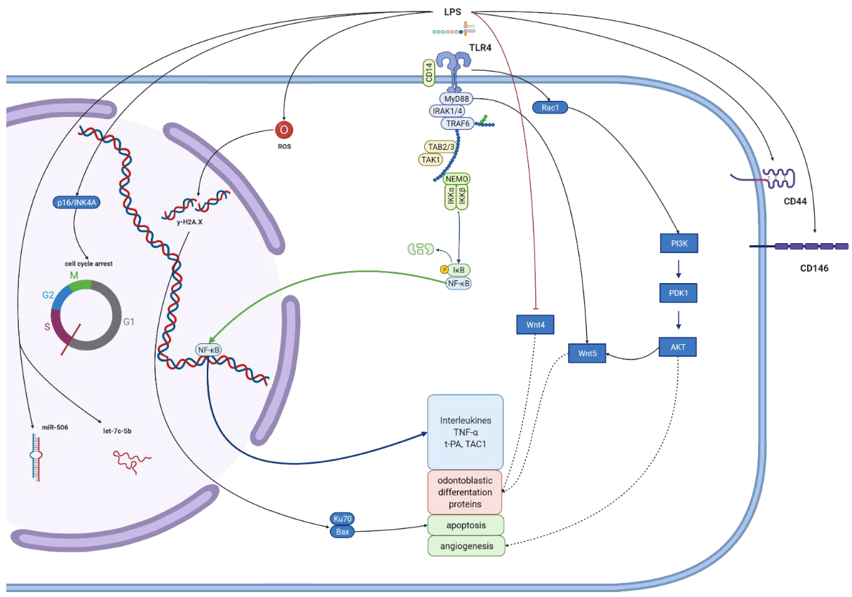 Biomolecules 12 00138 g004
